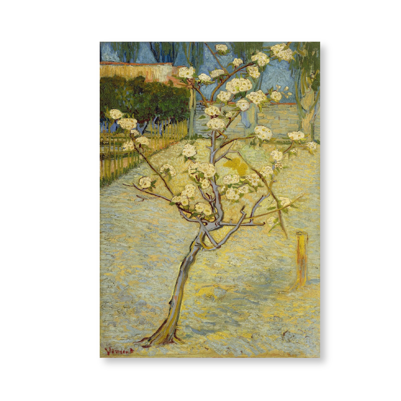 Van Gogh: "Small Pear Tree in Blossom (1888)"