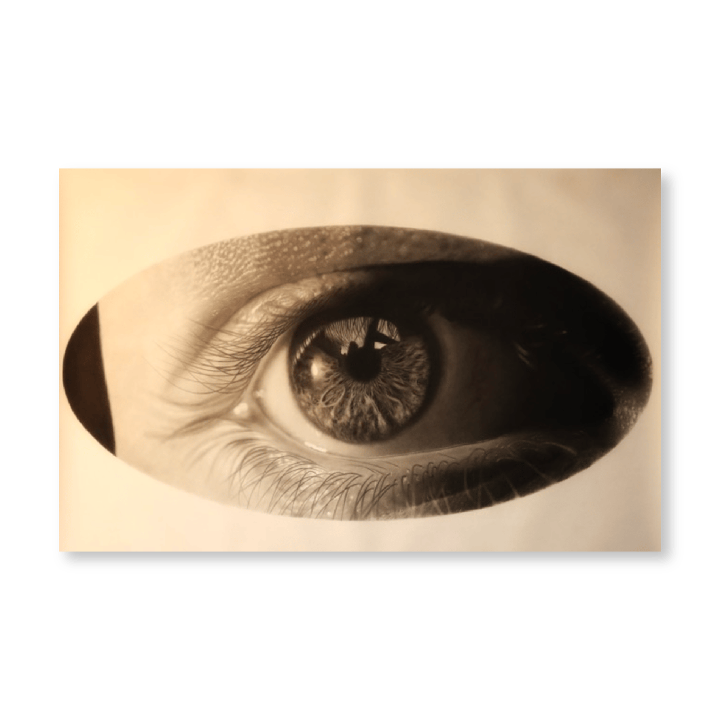 Ellipse eye | Original