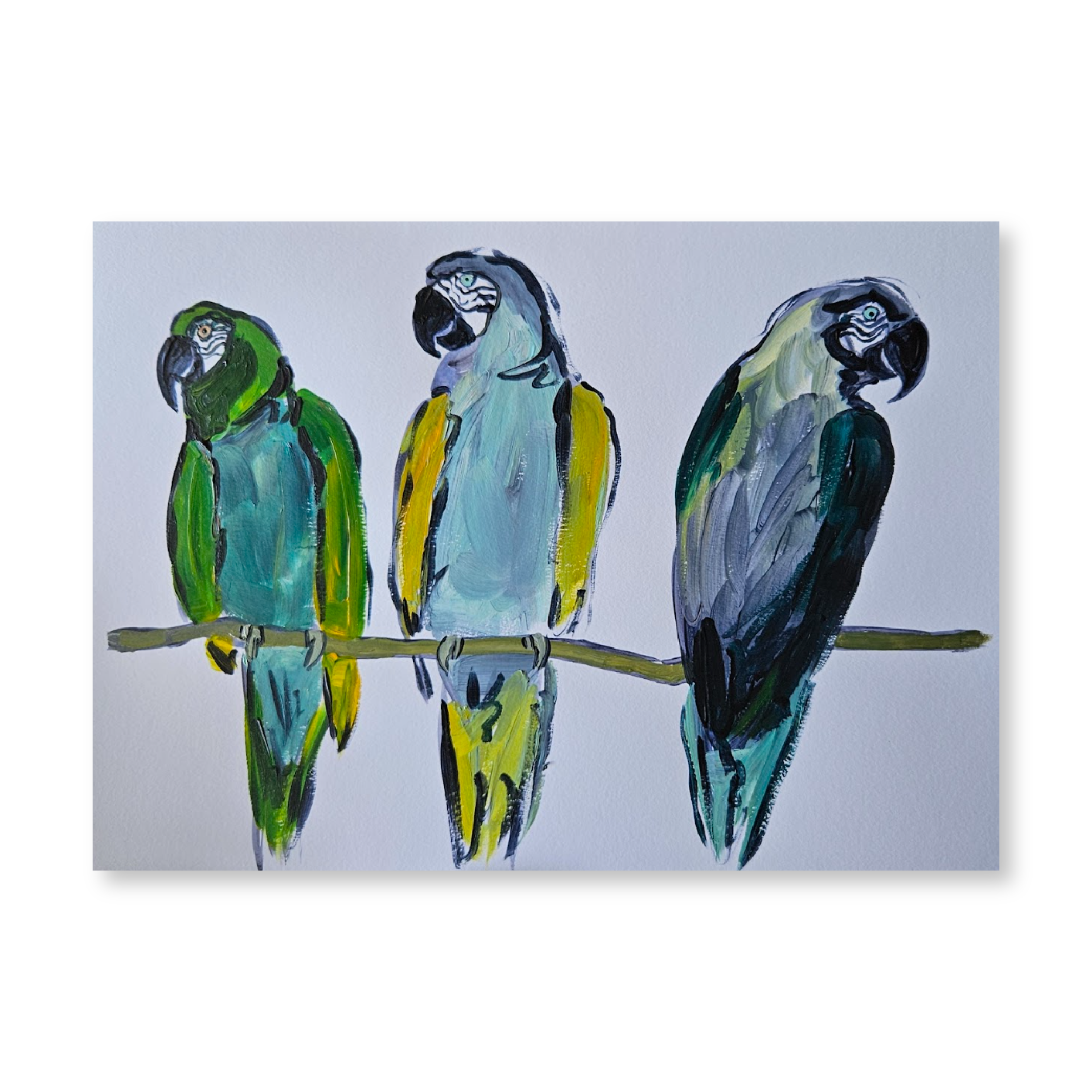 Macaws on Branch | Original
