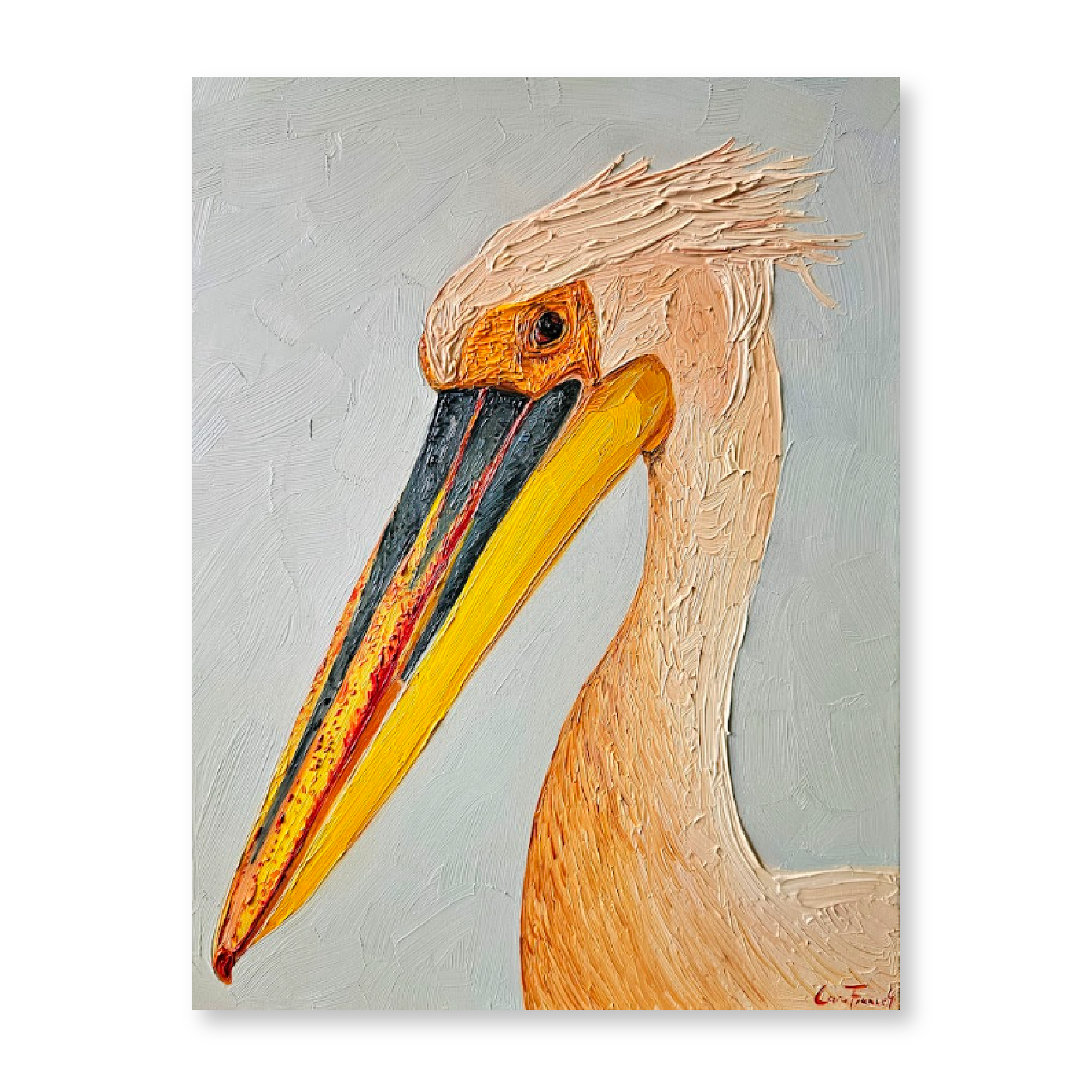 Pelican Portrait | Original
