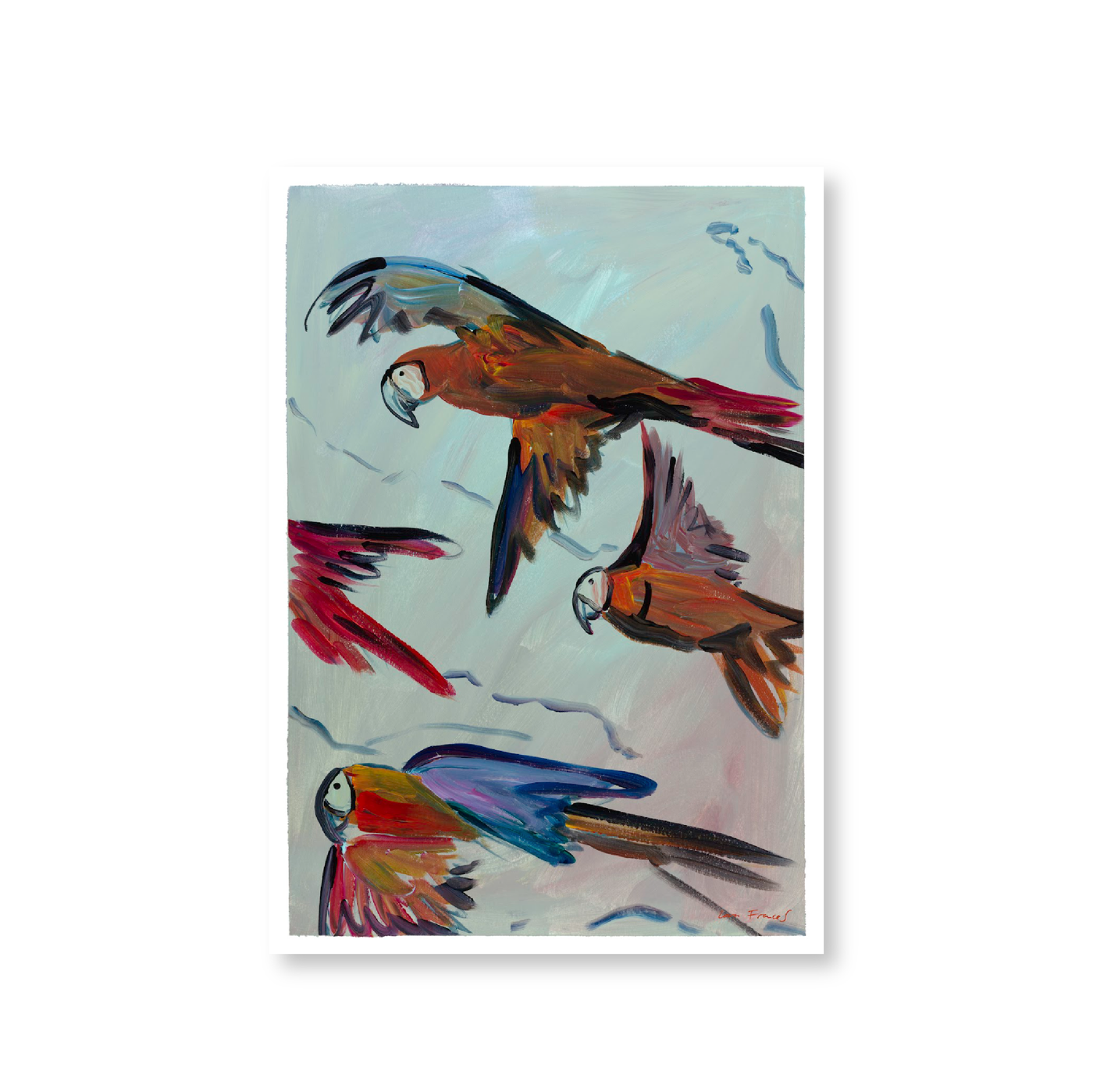 Parrots In Flight