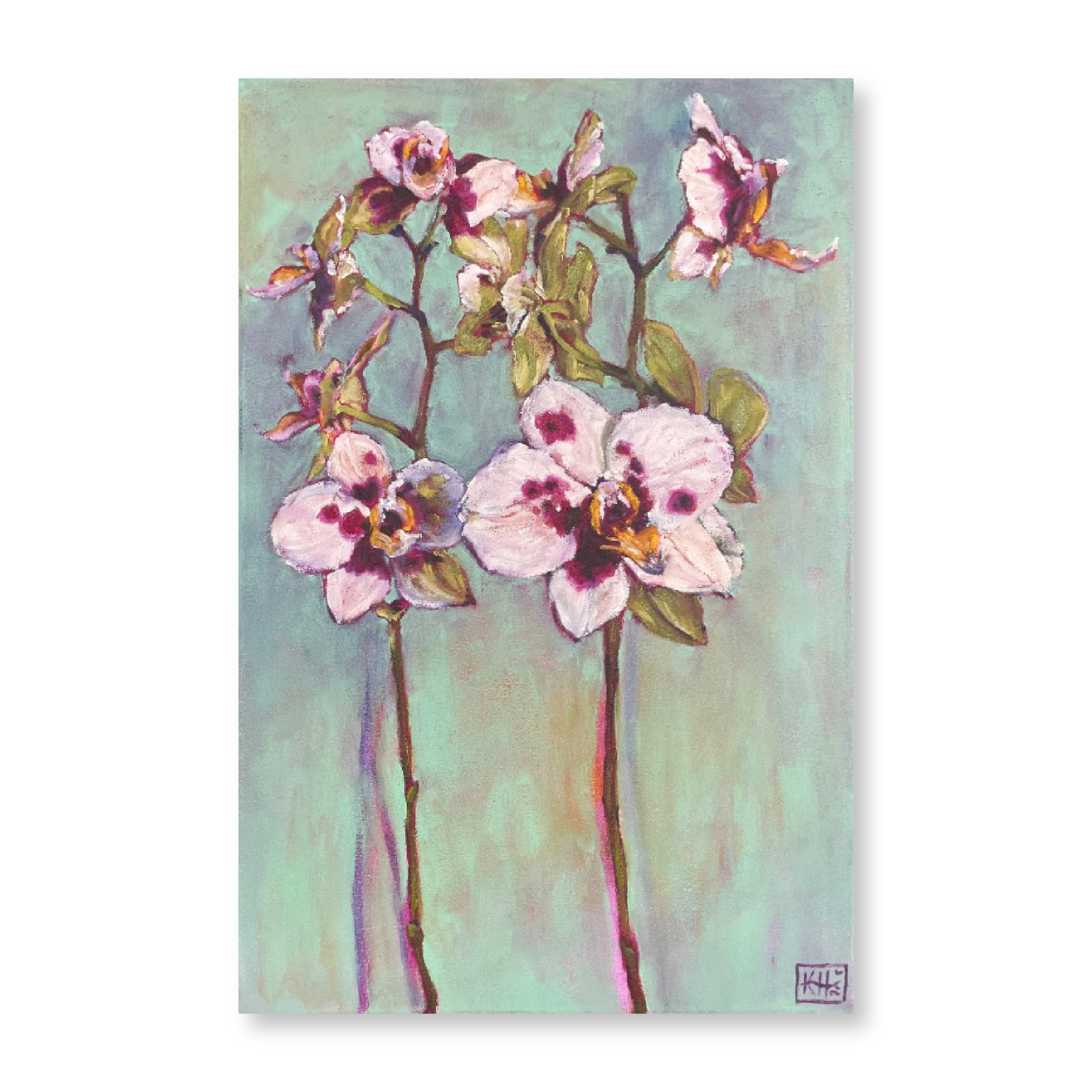 Moth Orchid | Original