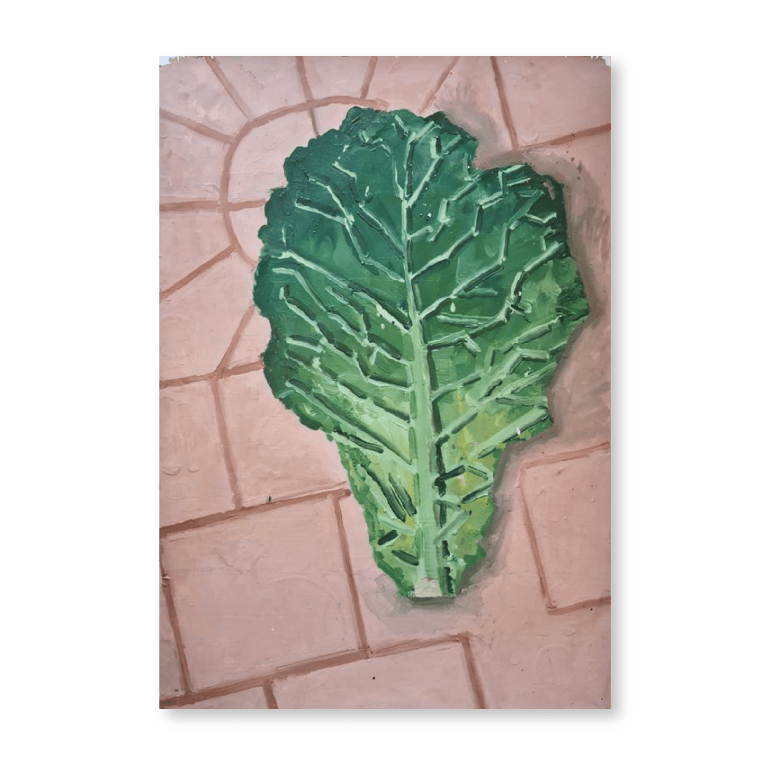 Cabbage II | Original (Vault)