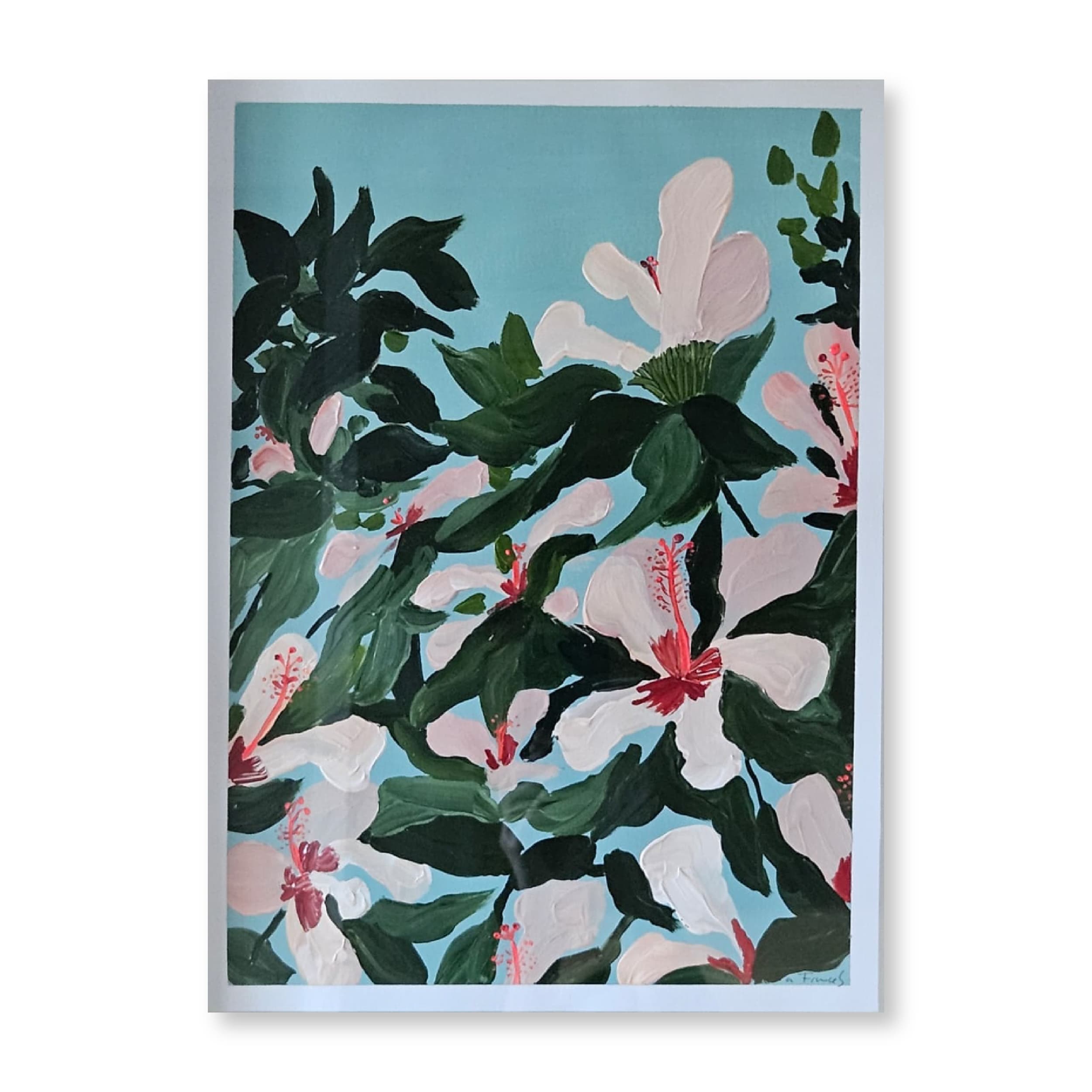Hibiscus | Original
