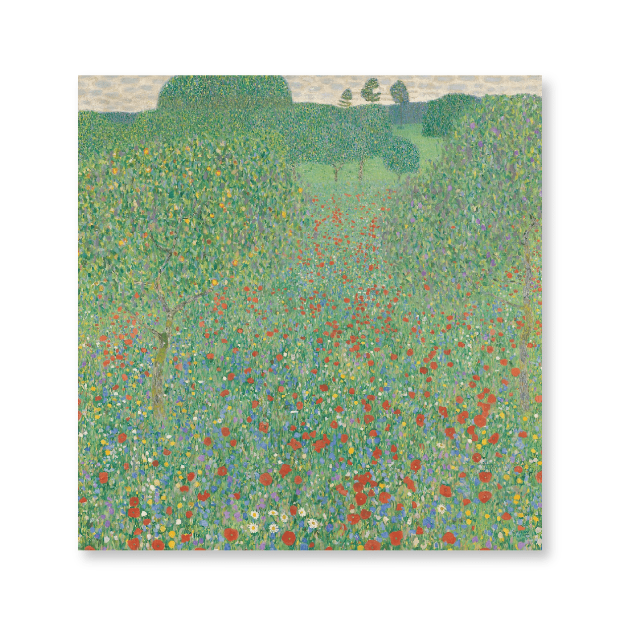 Gustav Klimt: "Blühender Mohn Mohnwiese (1907)"