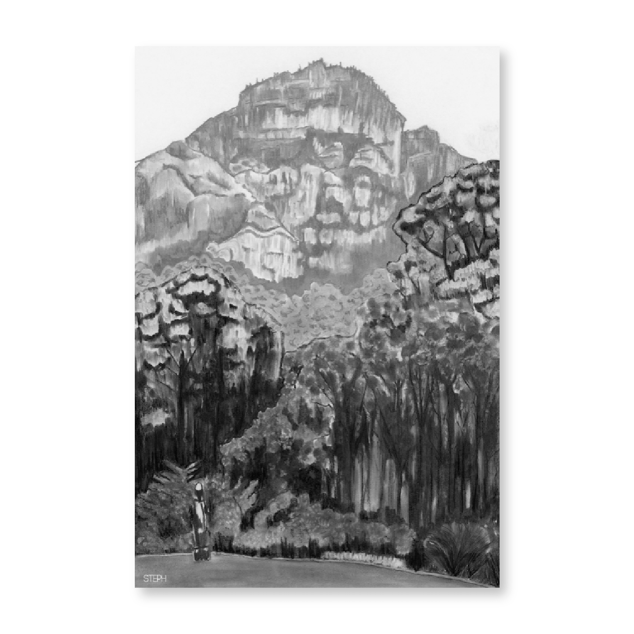 Kirstenbosch Forests
