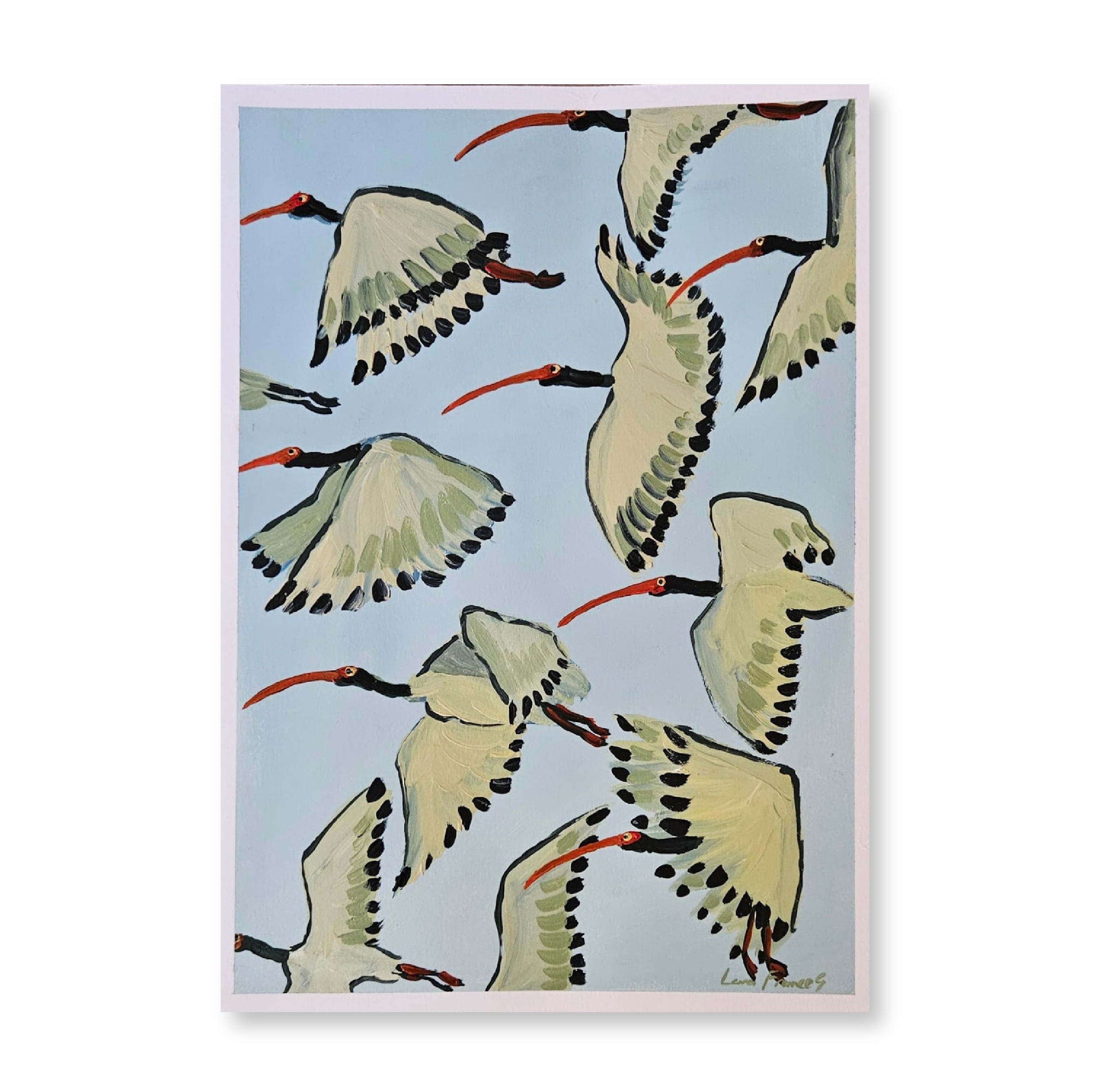 White Ibis in Flight | Original