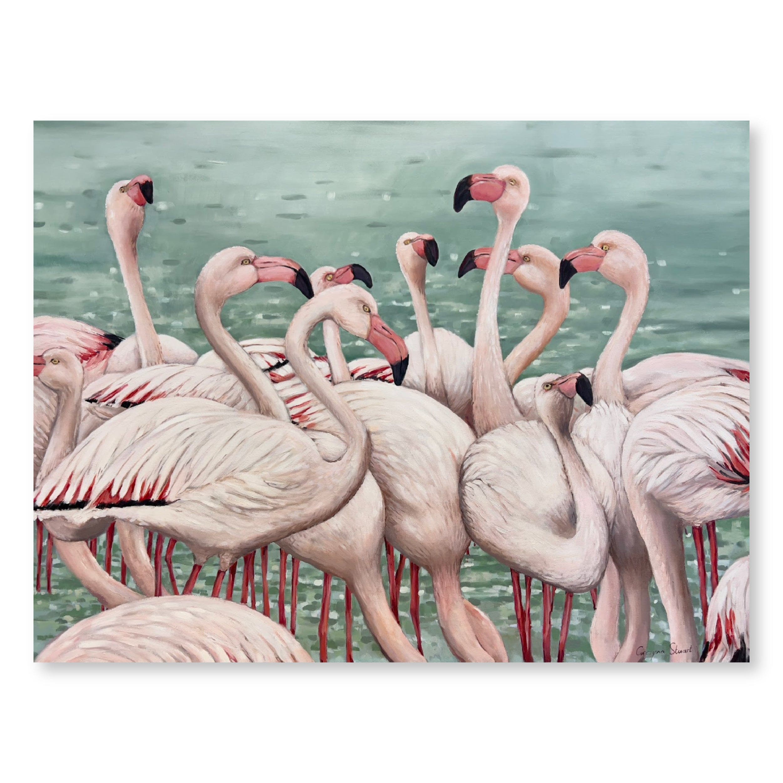 Flamingos | Original