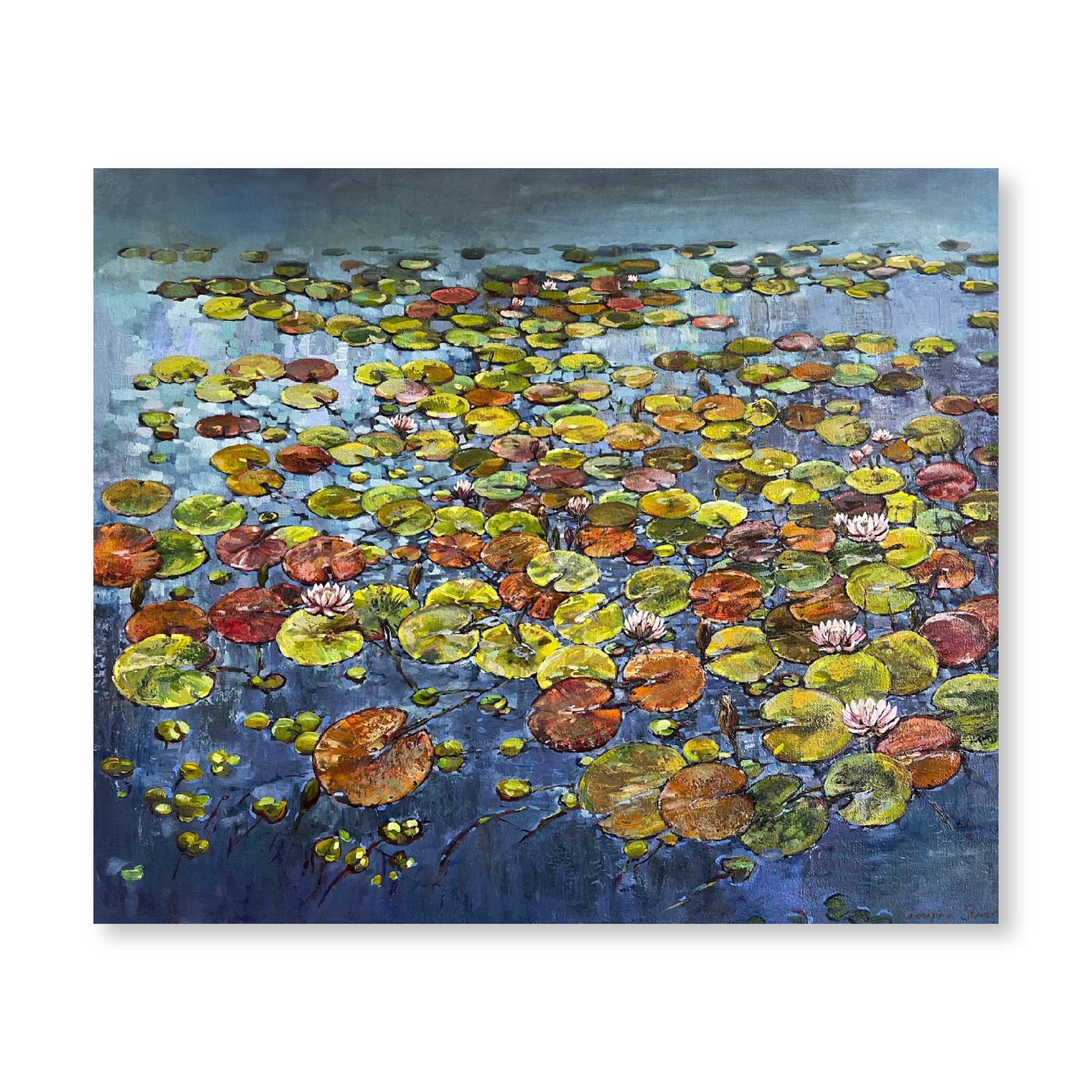 Water Lillies II | Original
