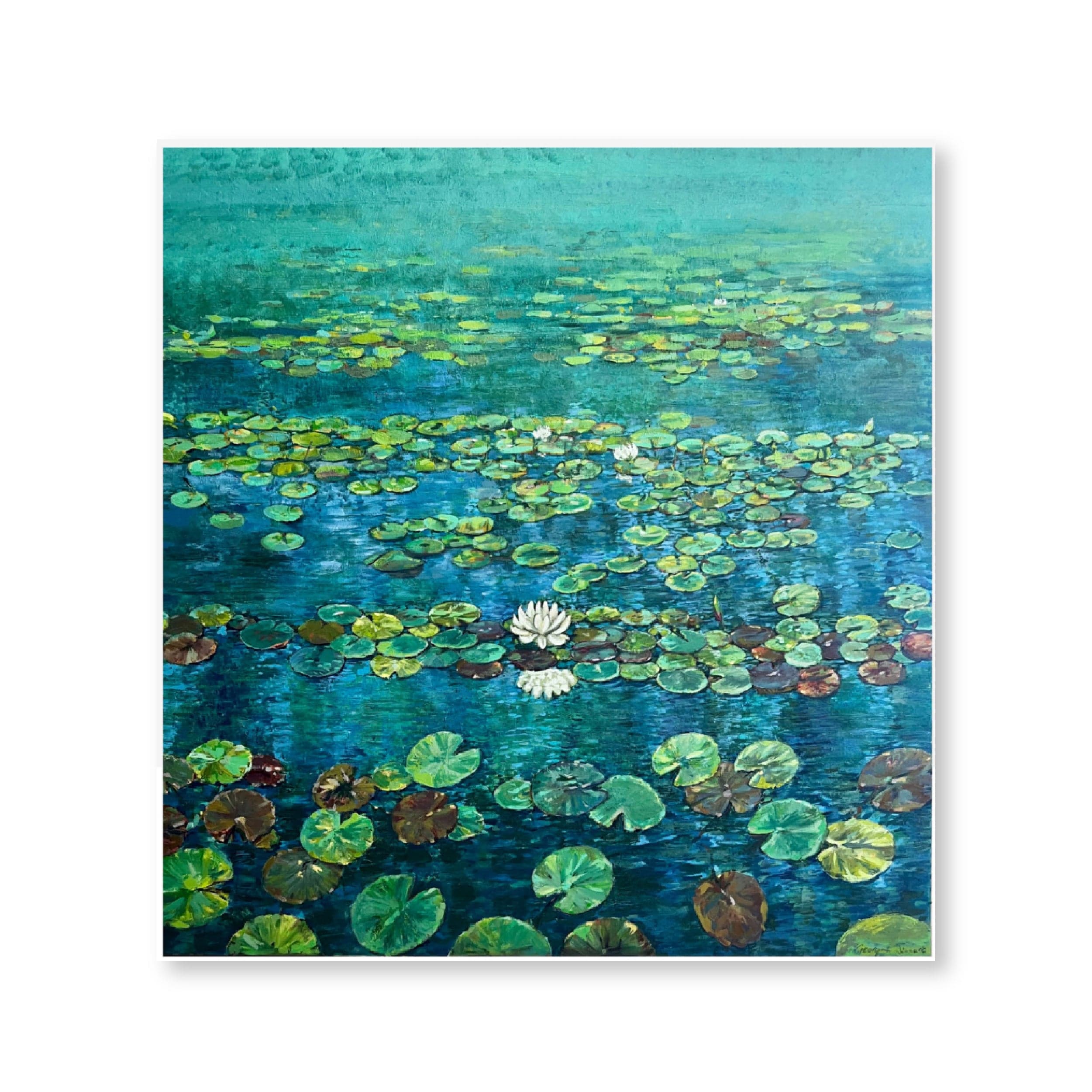 Lillypads | Original