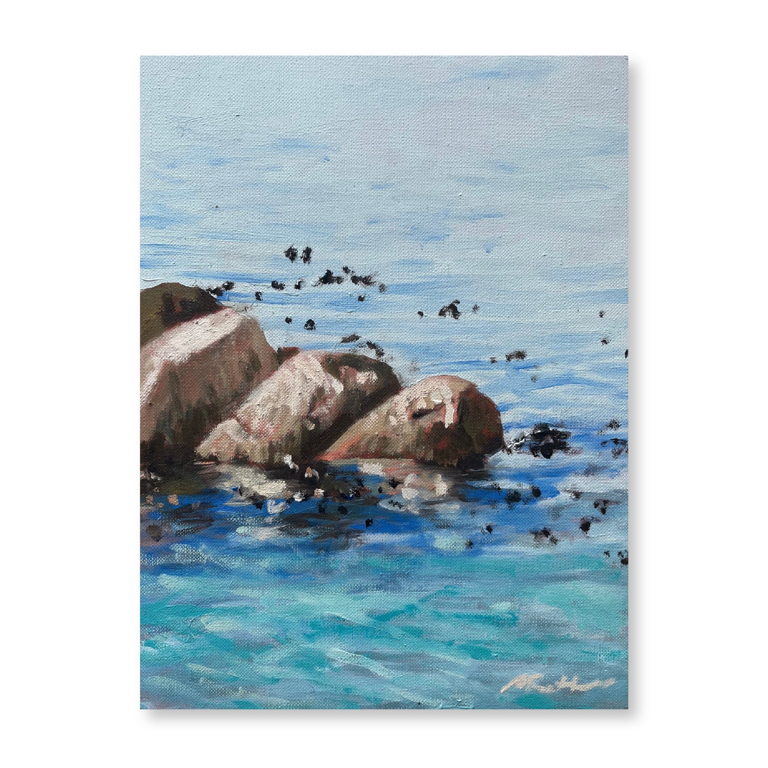 Rocks of Oudekraal | Original