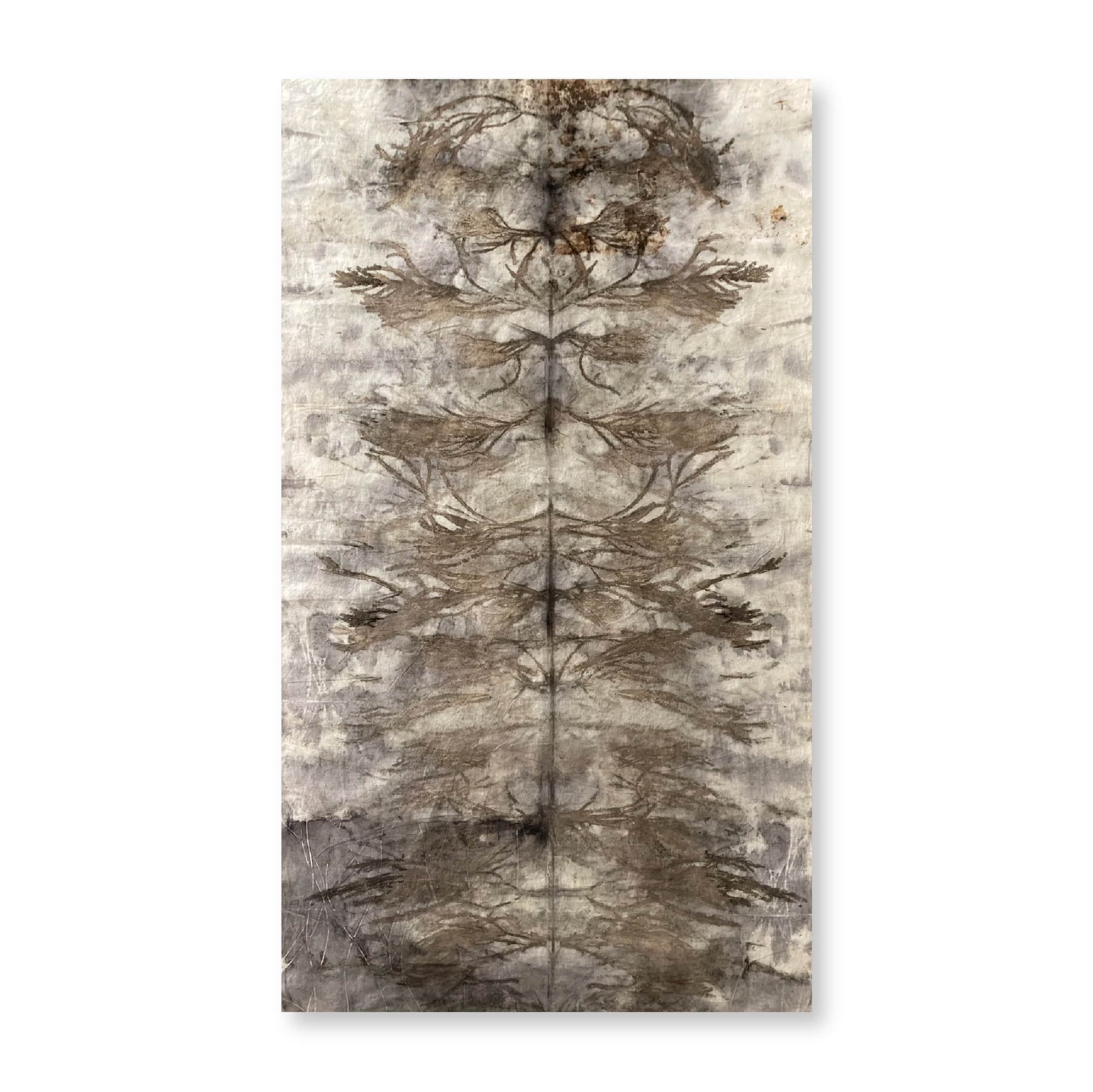 Fynbos Frequencies | Original