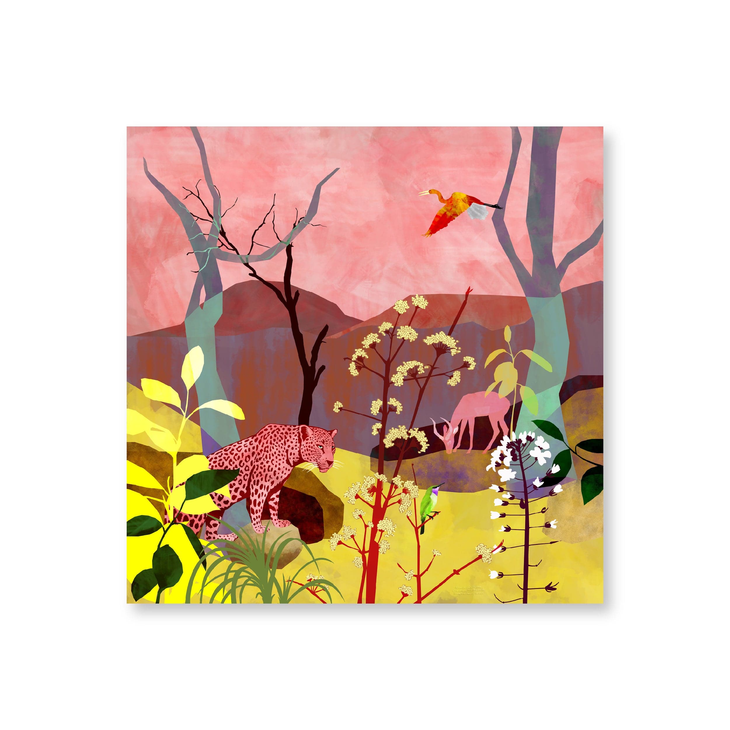 Savannah Gold | Original