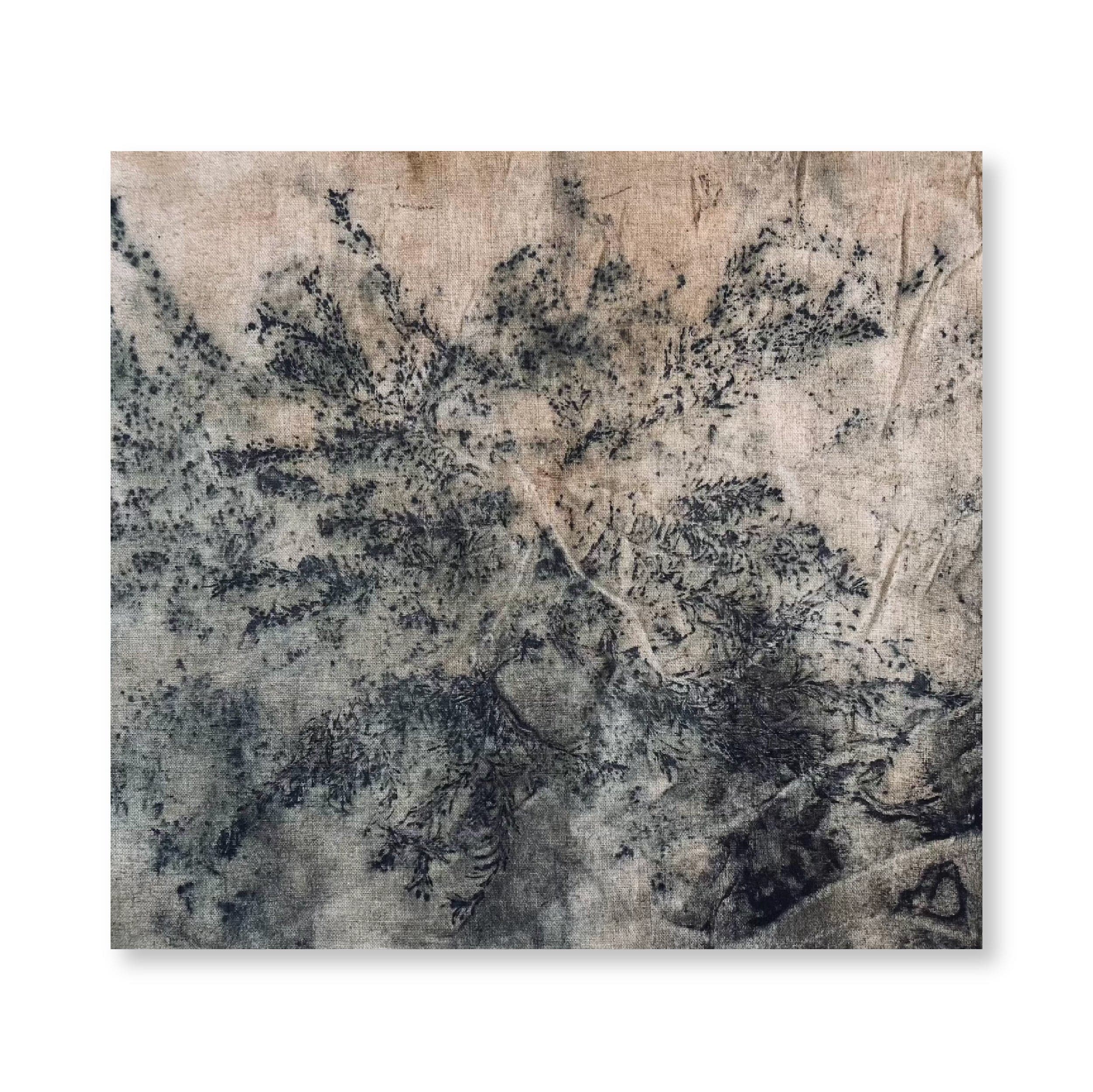 Insect Trails I | Original
