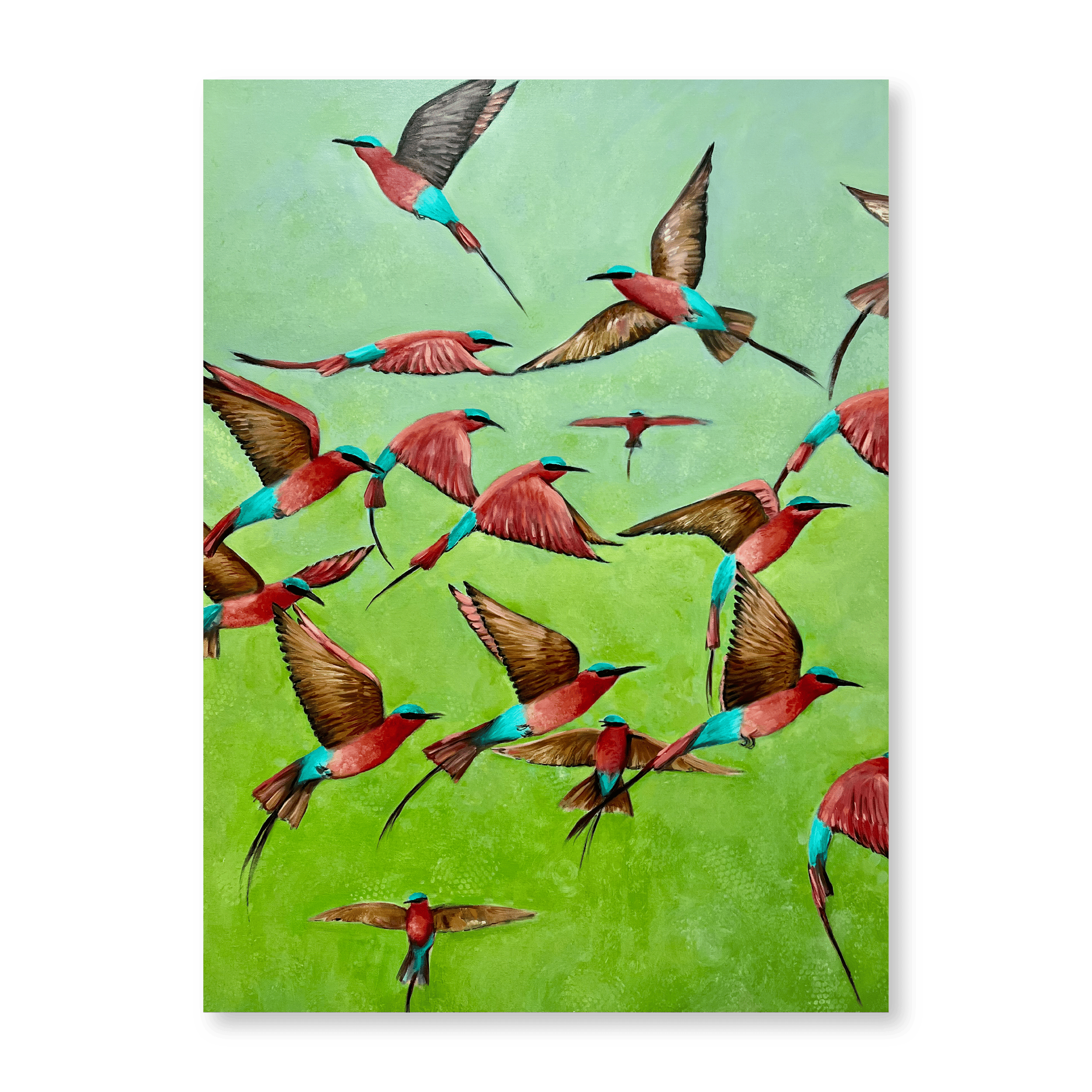 Carmine Bee-Eaters | Original