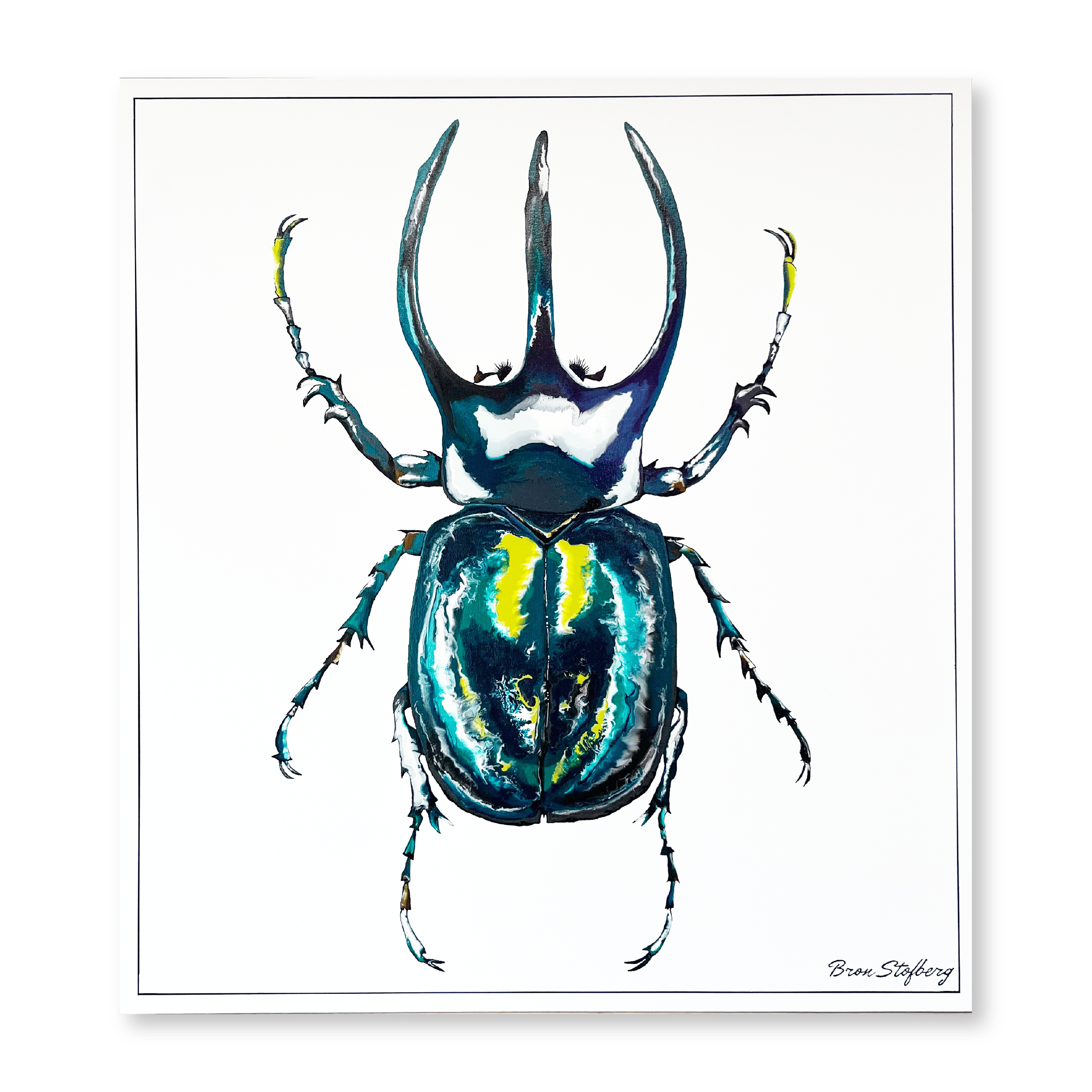 Atlas Beetle | Original