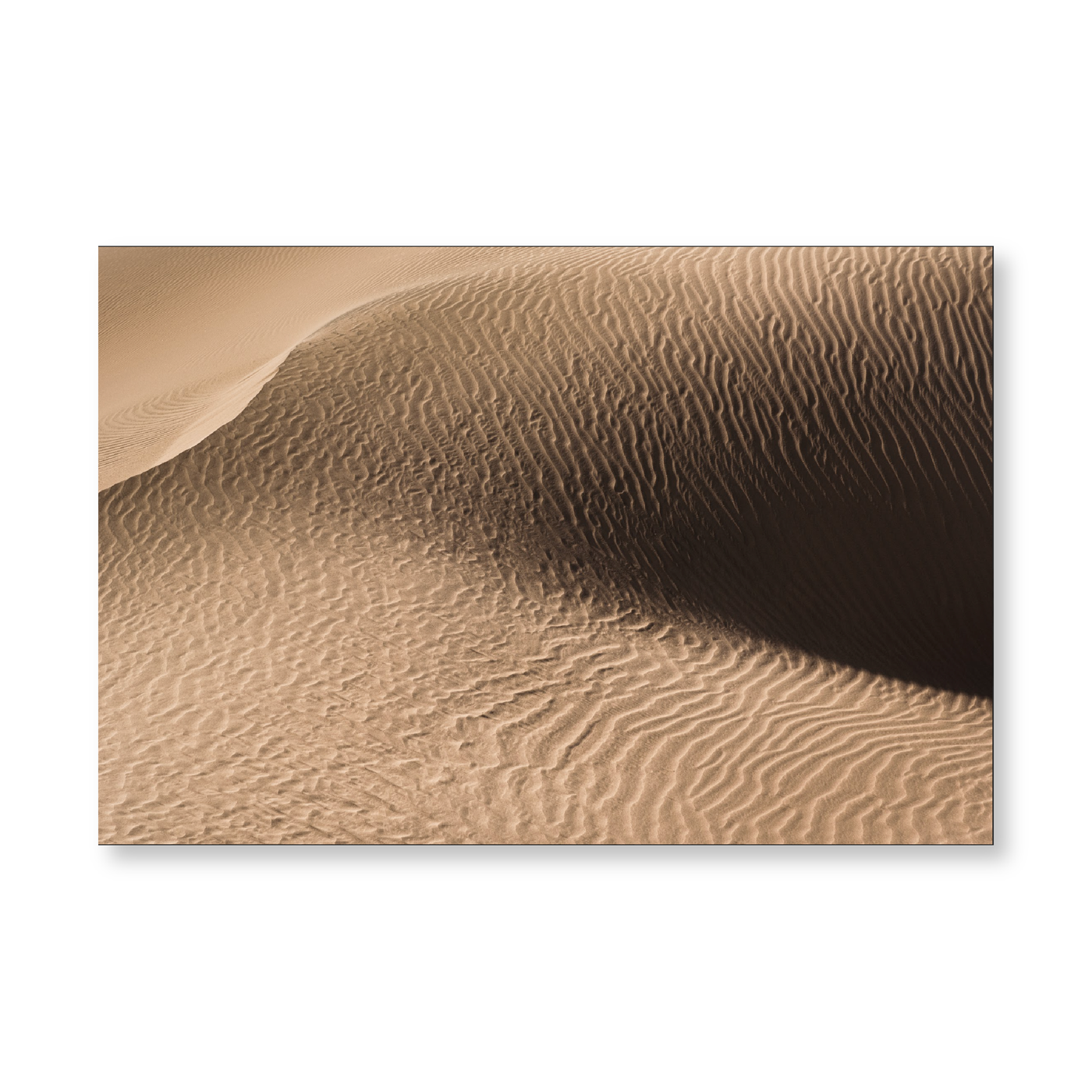Abstract Sand Dune in the Desert