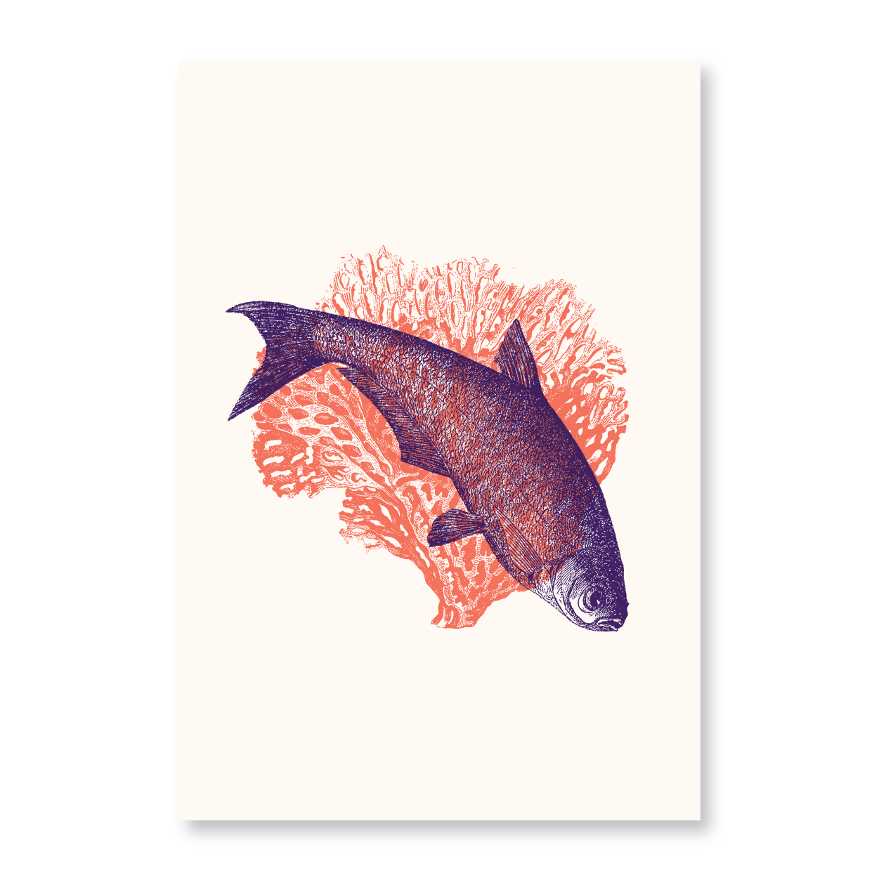 Fish With Corals I