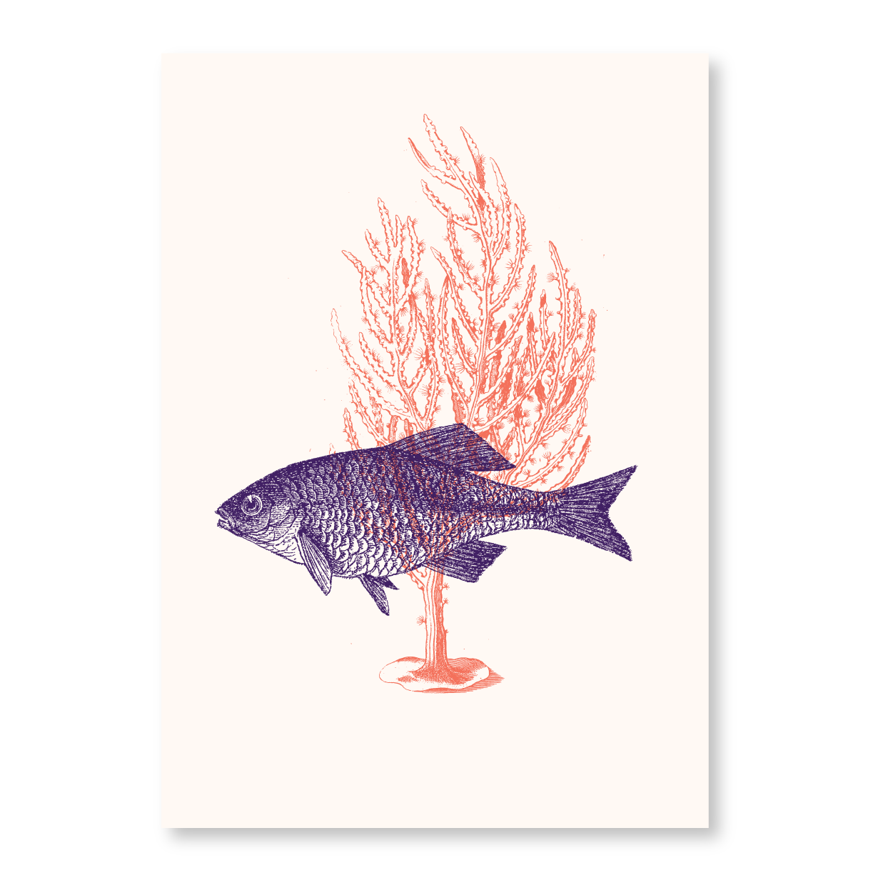 Fish With Corals II