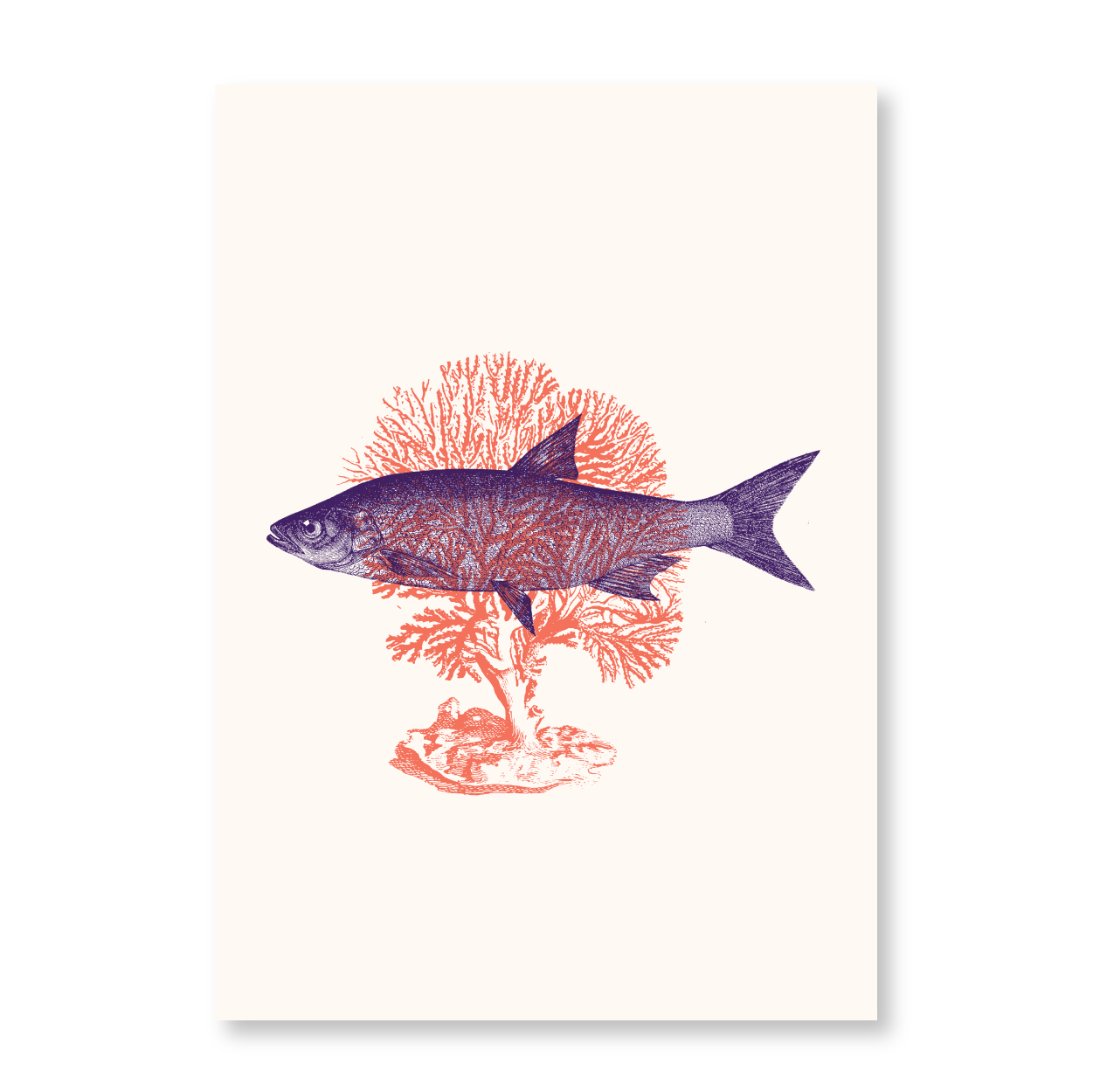 Fish With Corals III