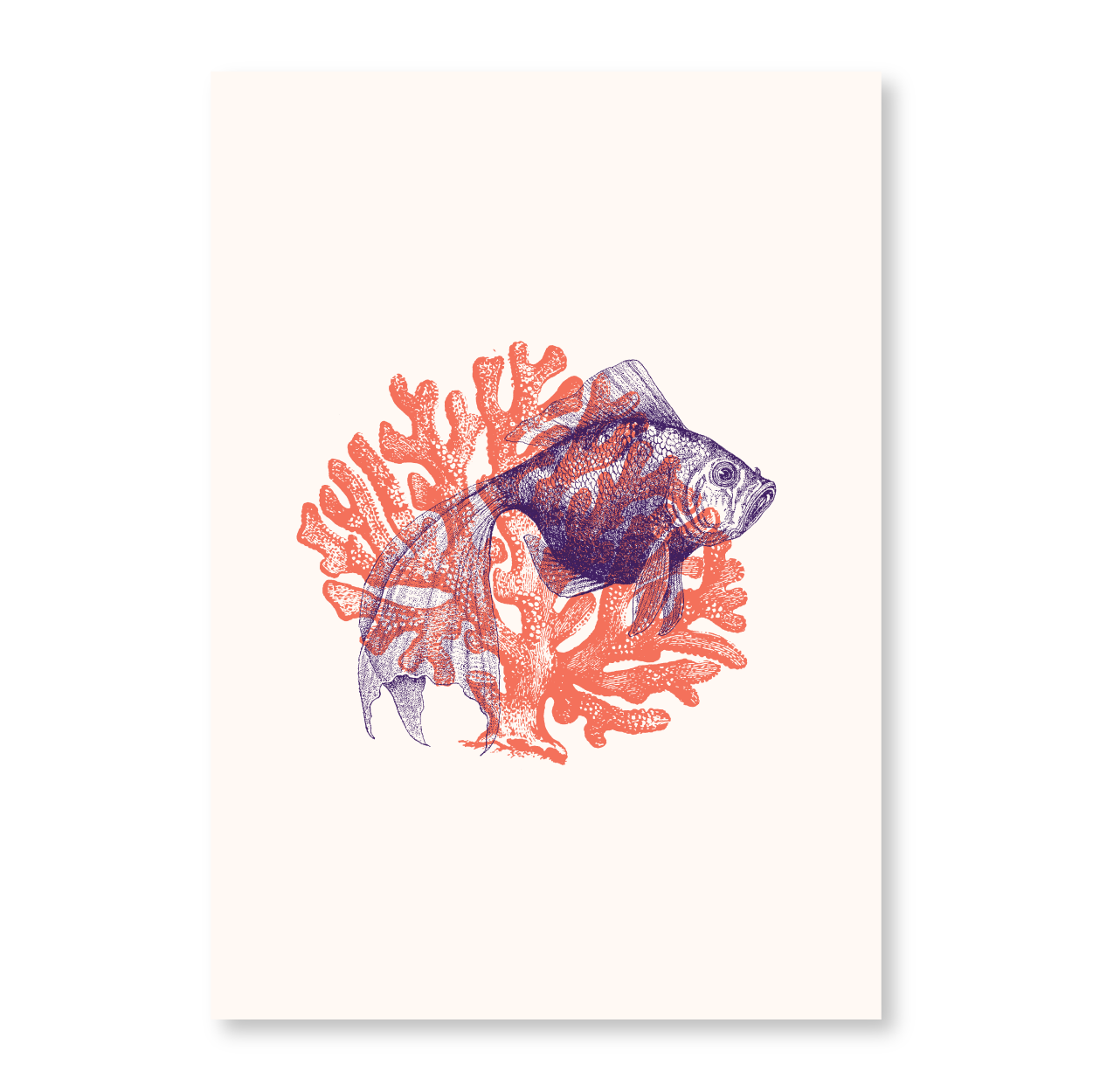 Fish With Corals IV