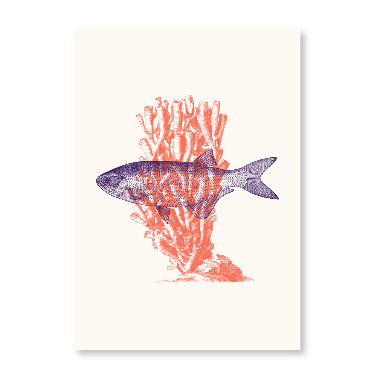 Fish With Corals V