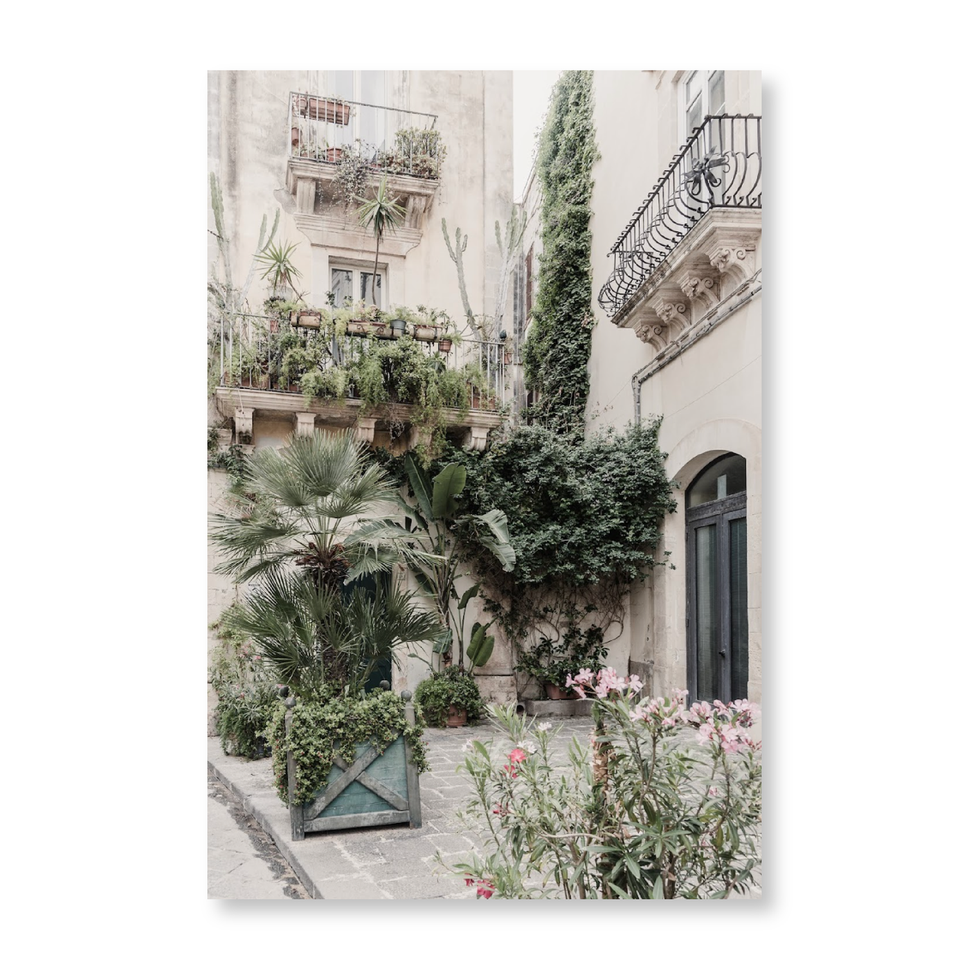 Botanical Street Scene In Italy