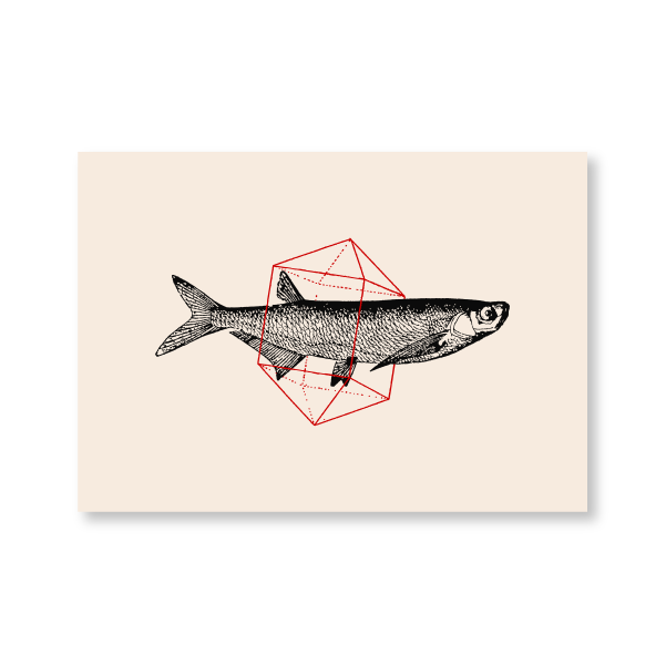 Fish in Geometrics II