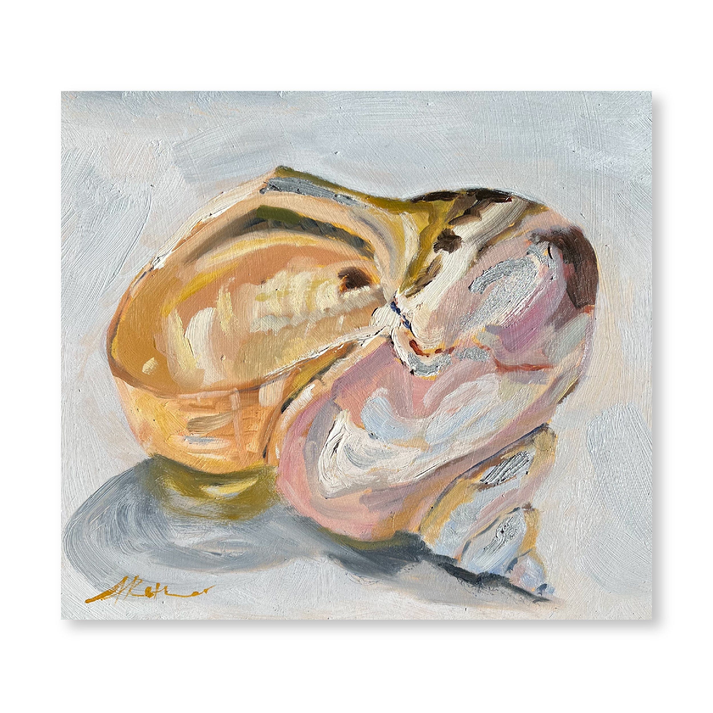 Shell Still Life | Original
