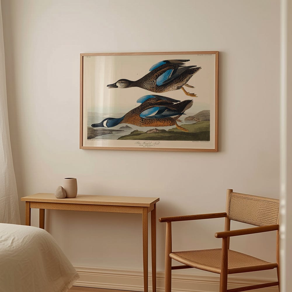 John James Audubon: "Blue Winded Teal"