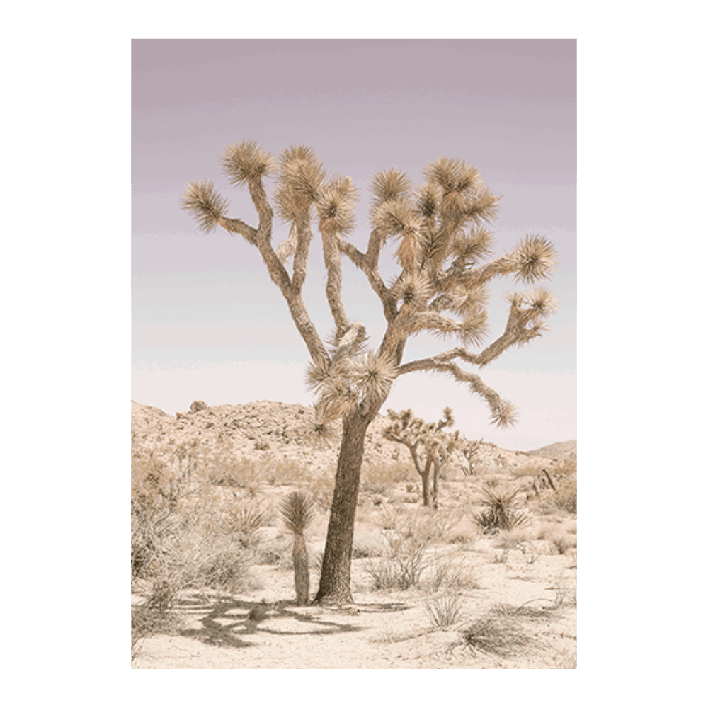 Joshua Tree