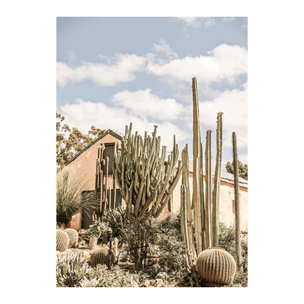 Karoo Garden