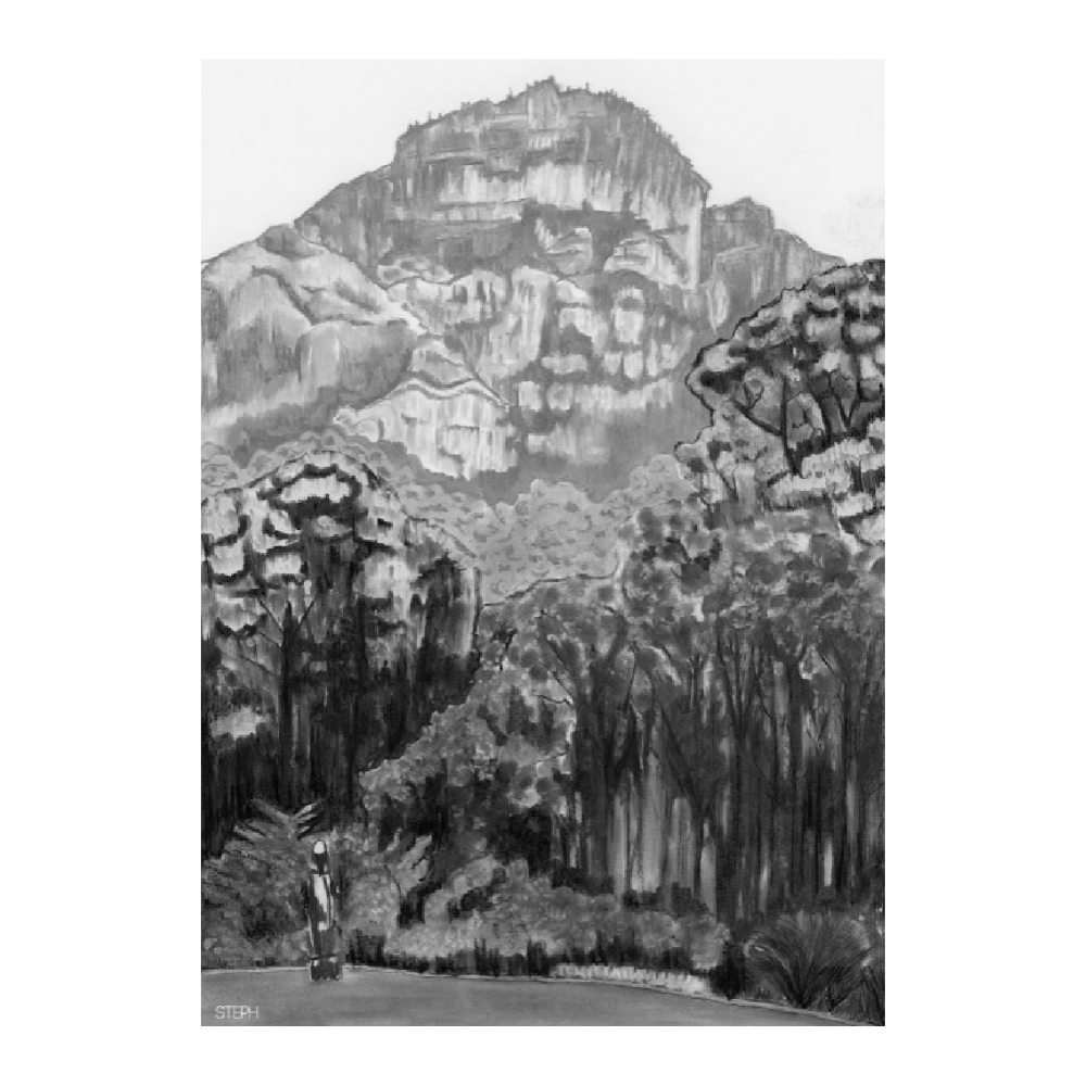 Kirstenbosch Forests