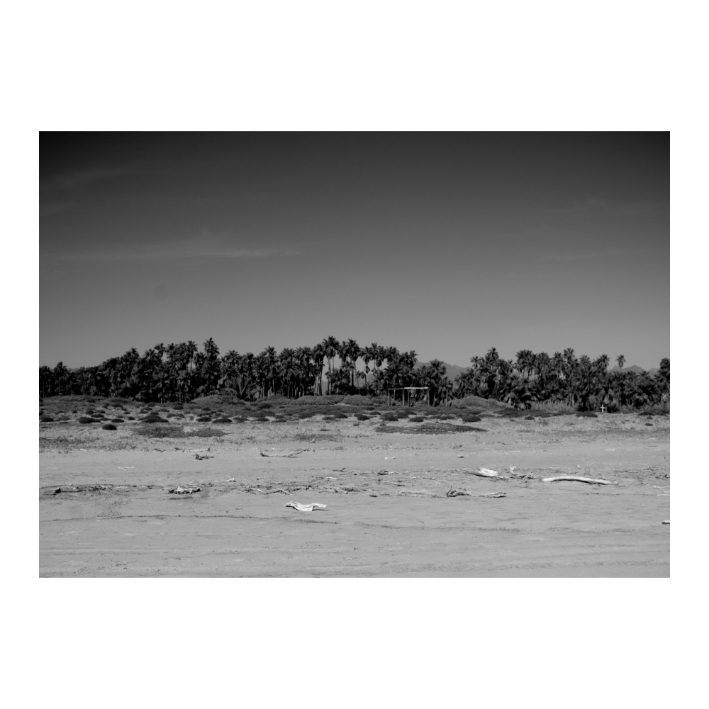 Las Palmas Baja California Sur, Mexico