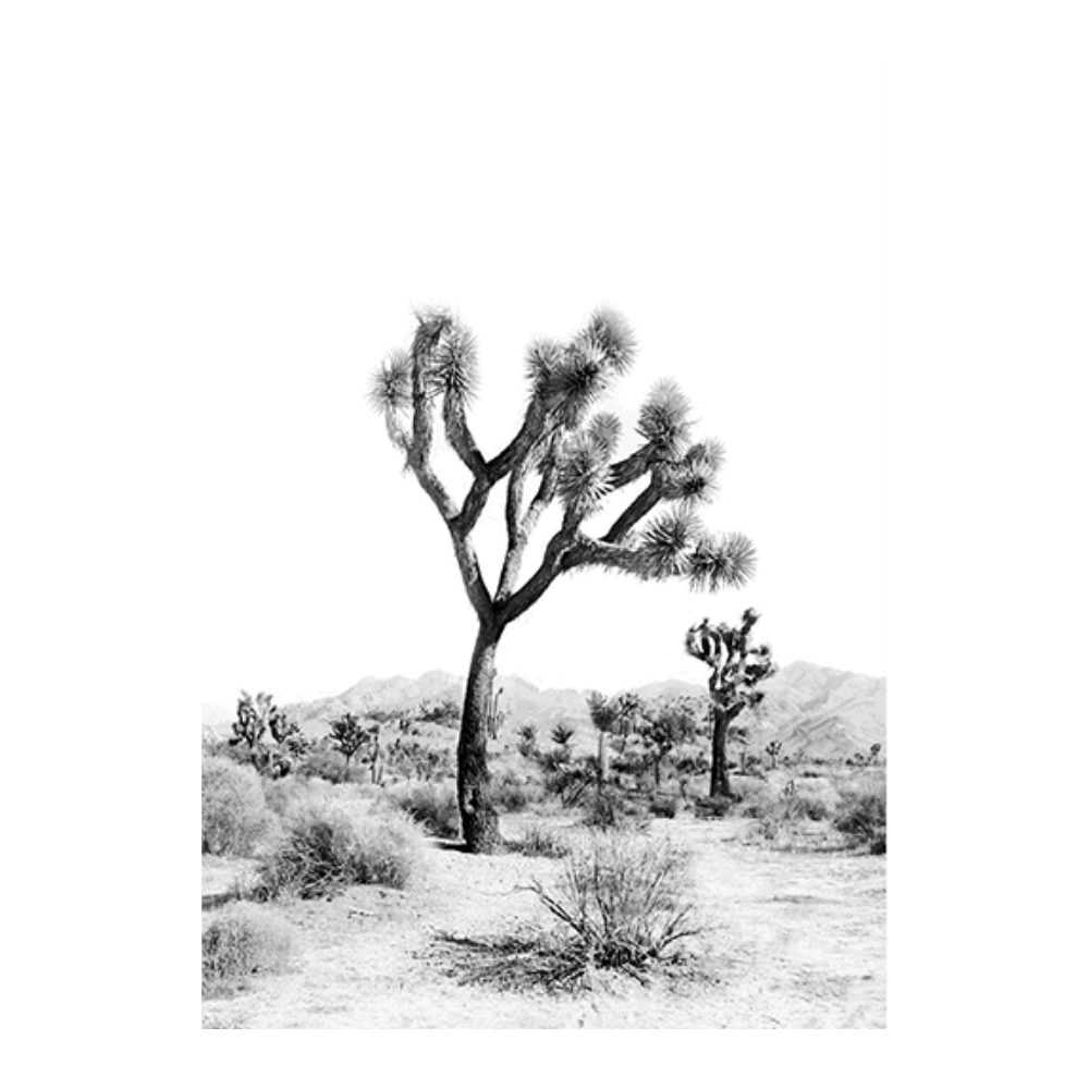 Joshua Tree I