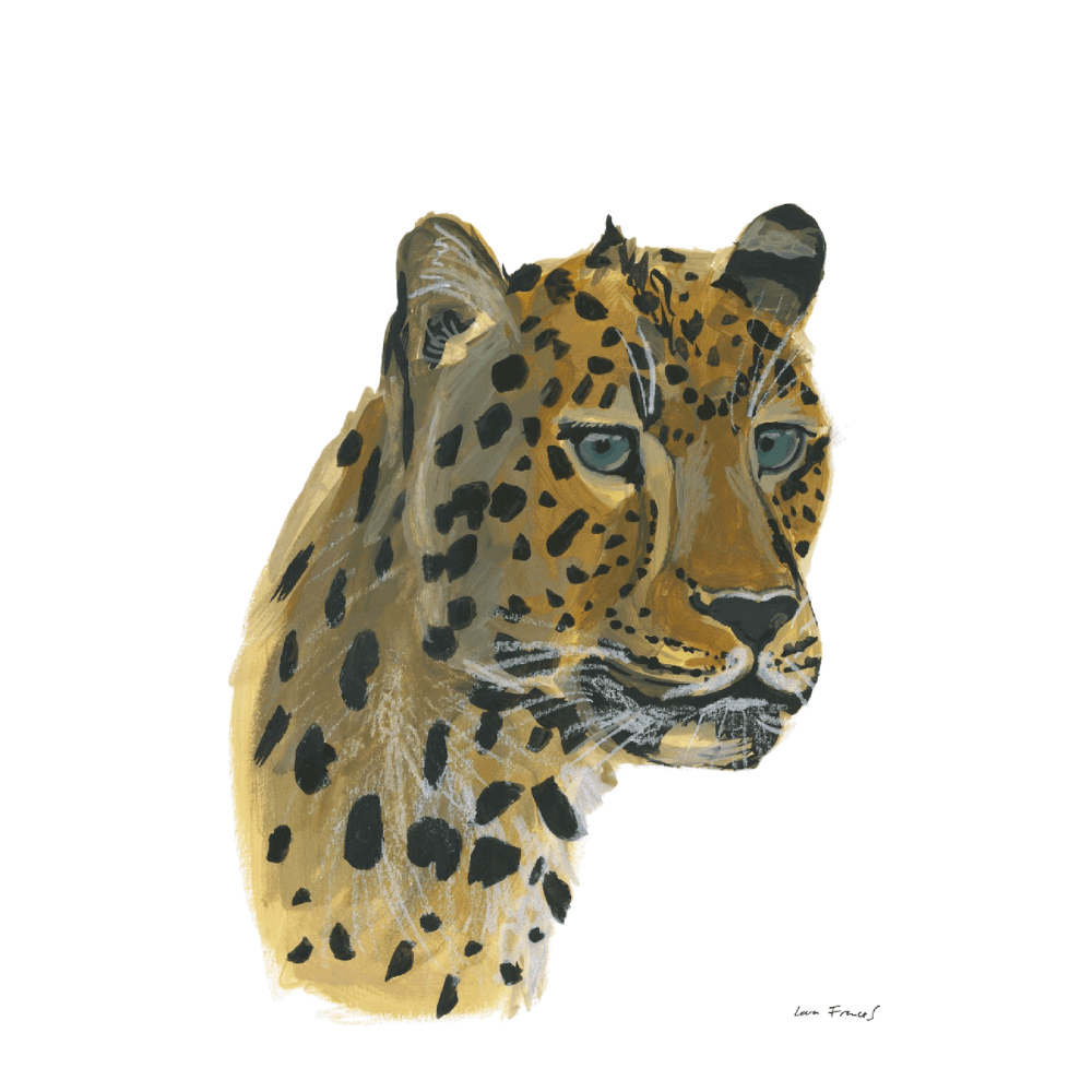 Leopard