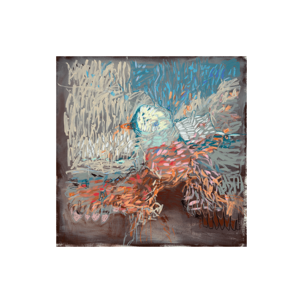 Little Bird Has A Broken Wing