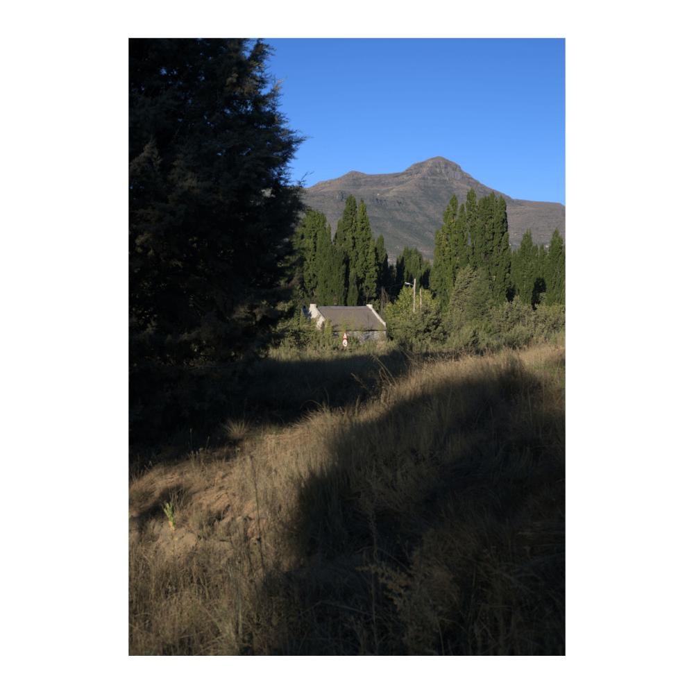 Lone Cottage