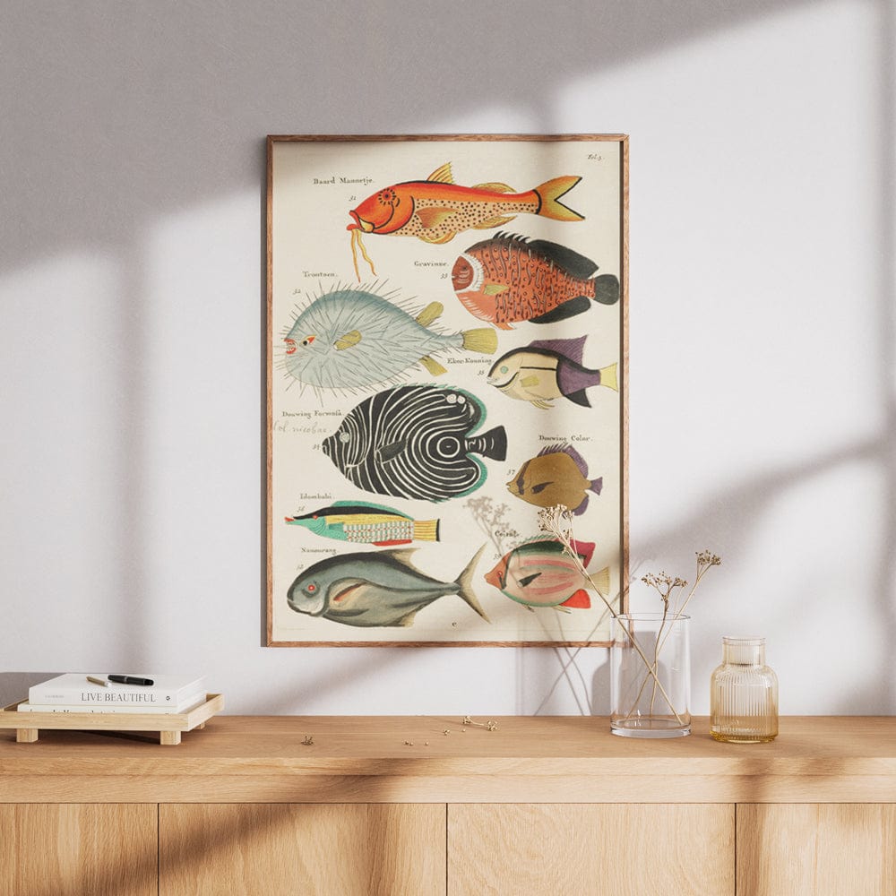 Louis Renard Illustration I