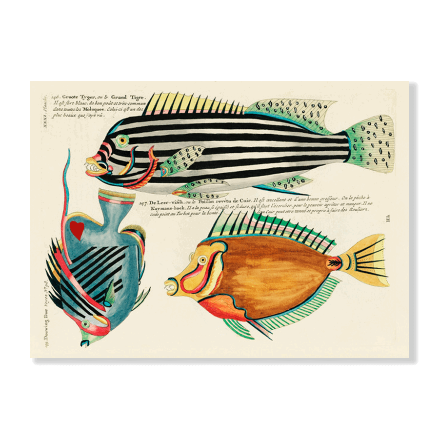 Louis Renard Illustration VII - Jasper & Jute