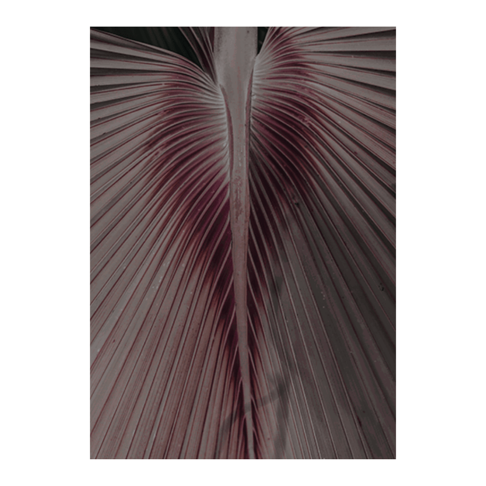 Love Palm