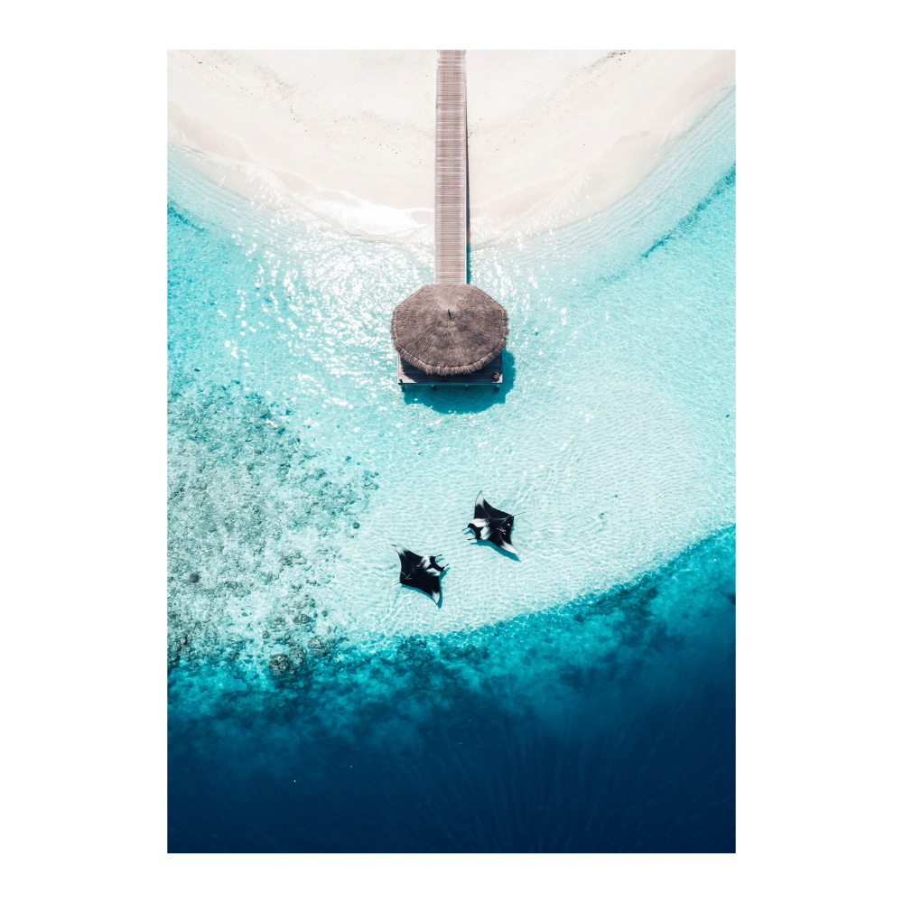 Manta Sanctuary