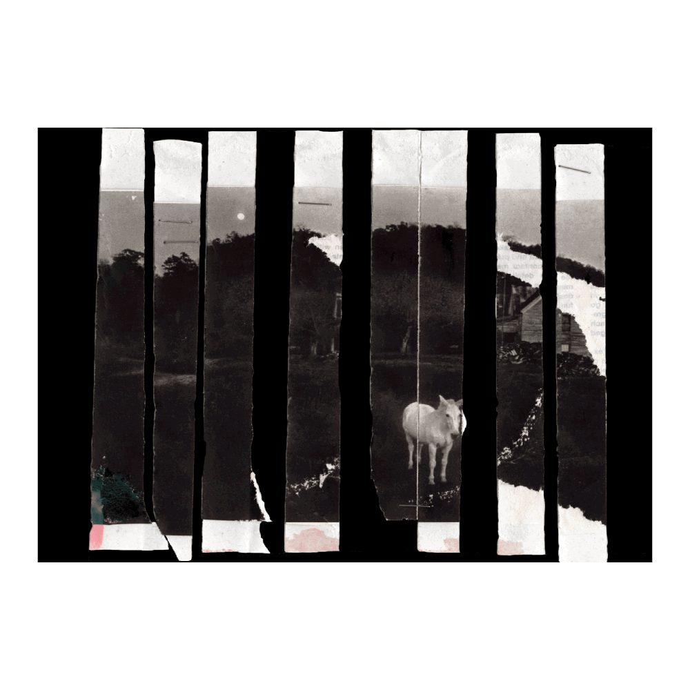 Midnight