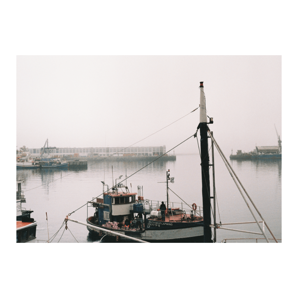 Misty Harbour