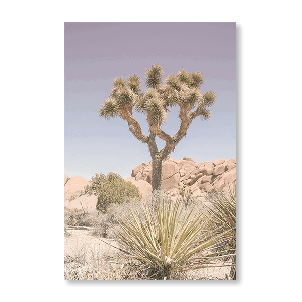 Mojave Desert - Jasper & Jute