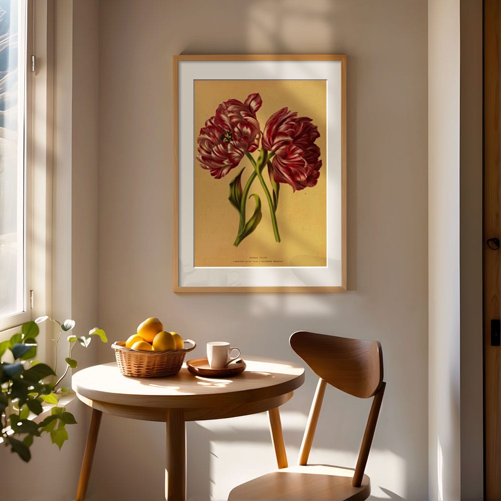 Double Tulips 1.Mariage De Ma Fl Lle. 2.Couronne Imperiale (1872-1881)
