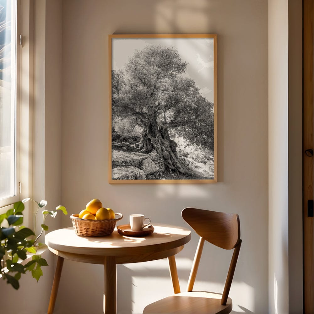 Olea