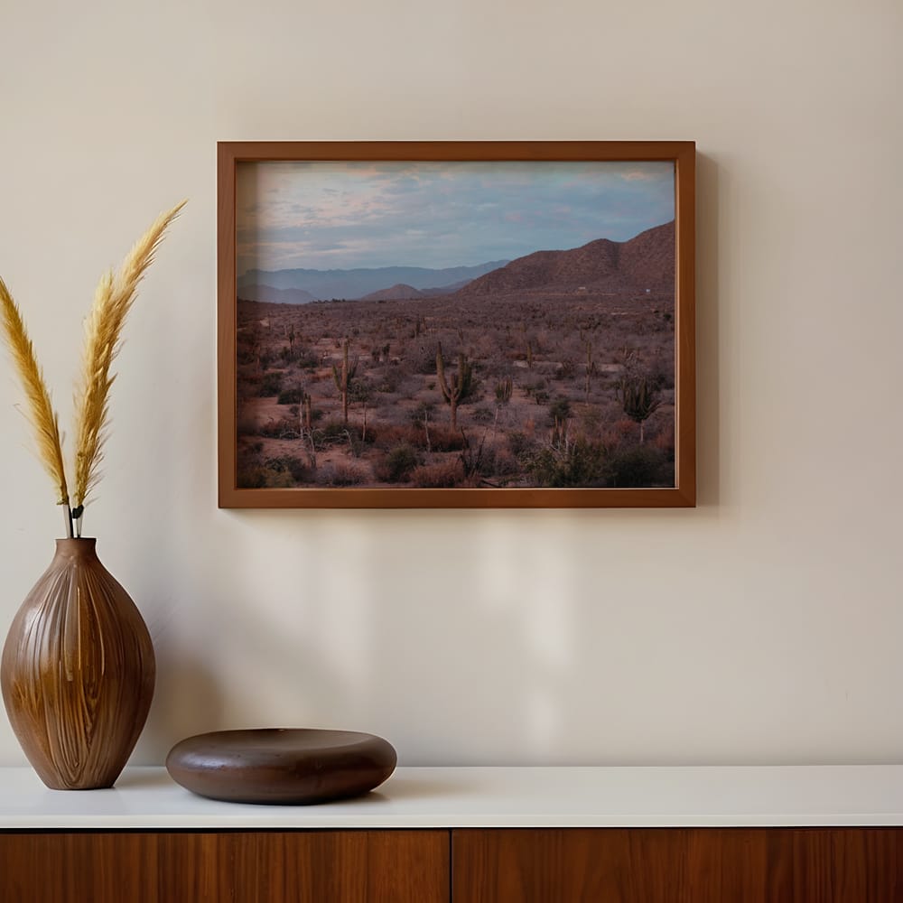 Cactus And Mountains Baja California Sur, Mexico