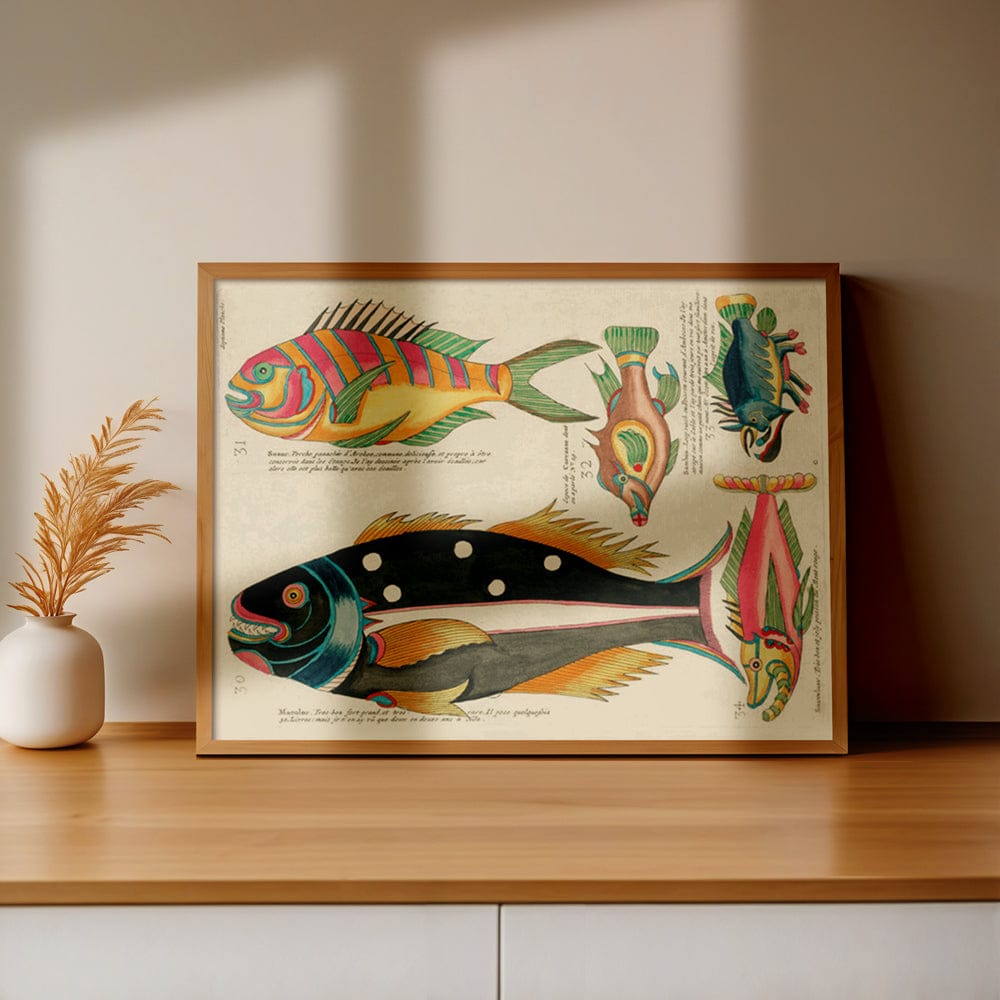 Louis Renard Illustration IX