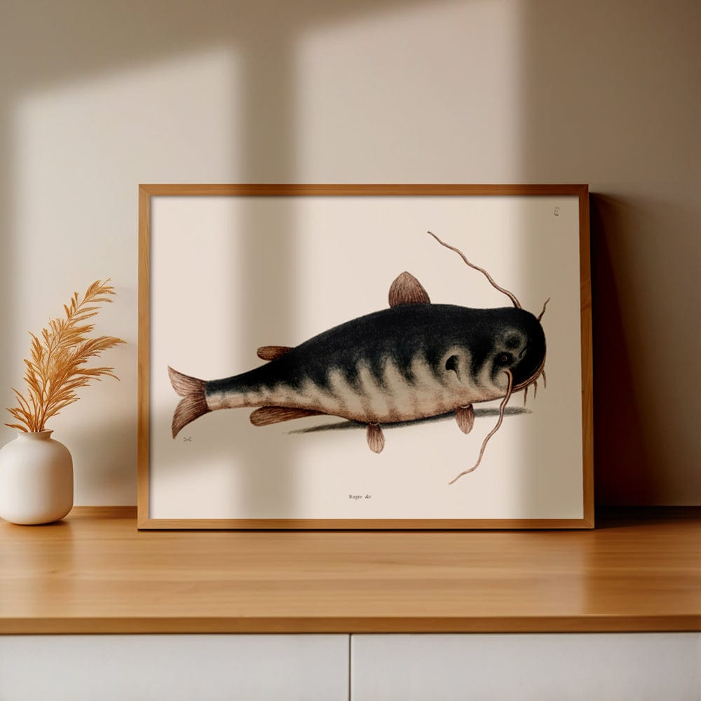 Cat Fish (Bagre Secunde)